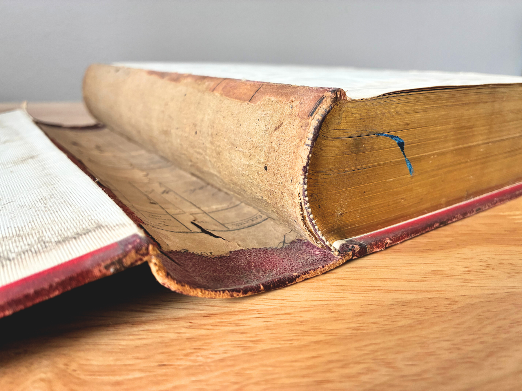 A close up shot of an antique book with the cover broken away from the spine, showing worn leather, worn endbands, and spine lining.