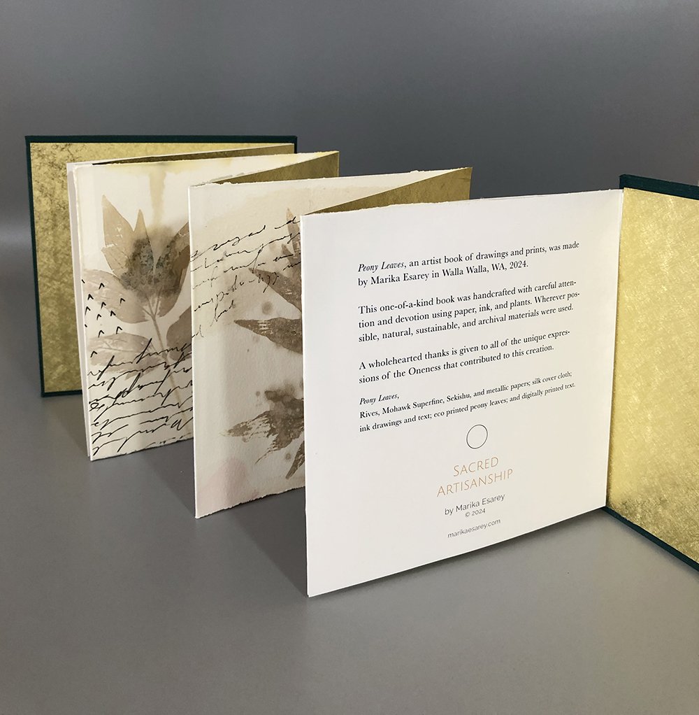 Peony_open_back copy.jpg