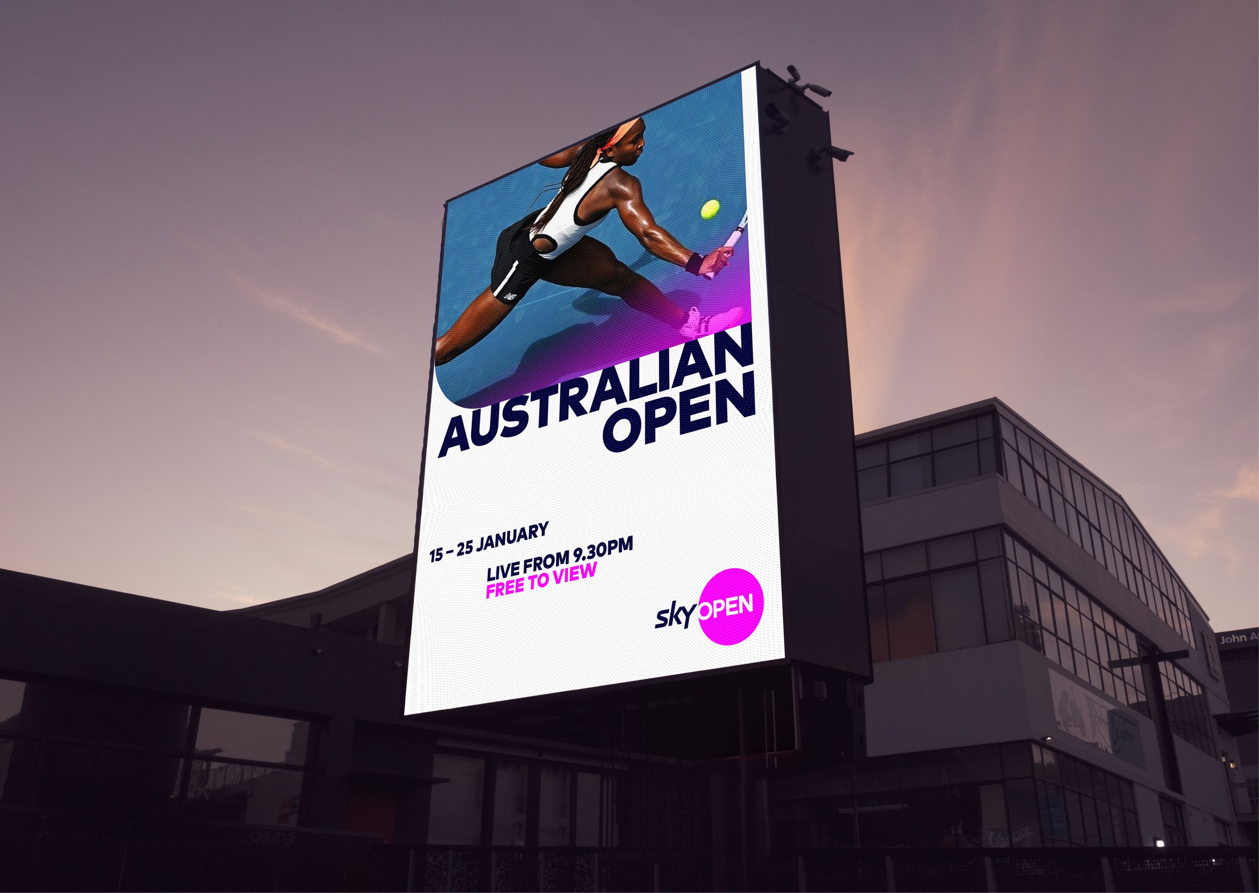 SKY-Open-entry5.jpg