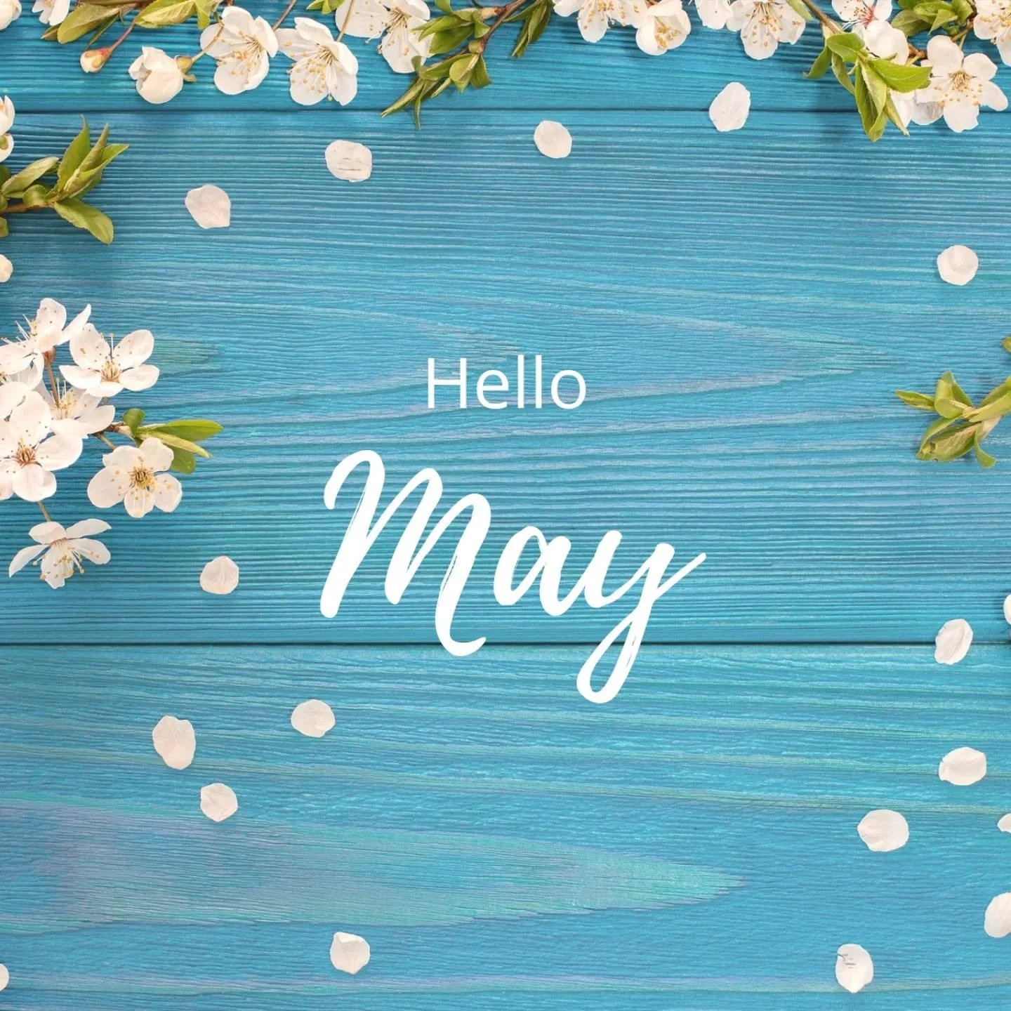 Check out everything happening in May!