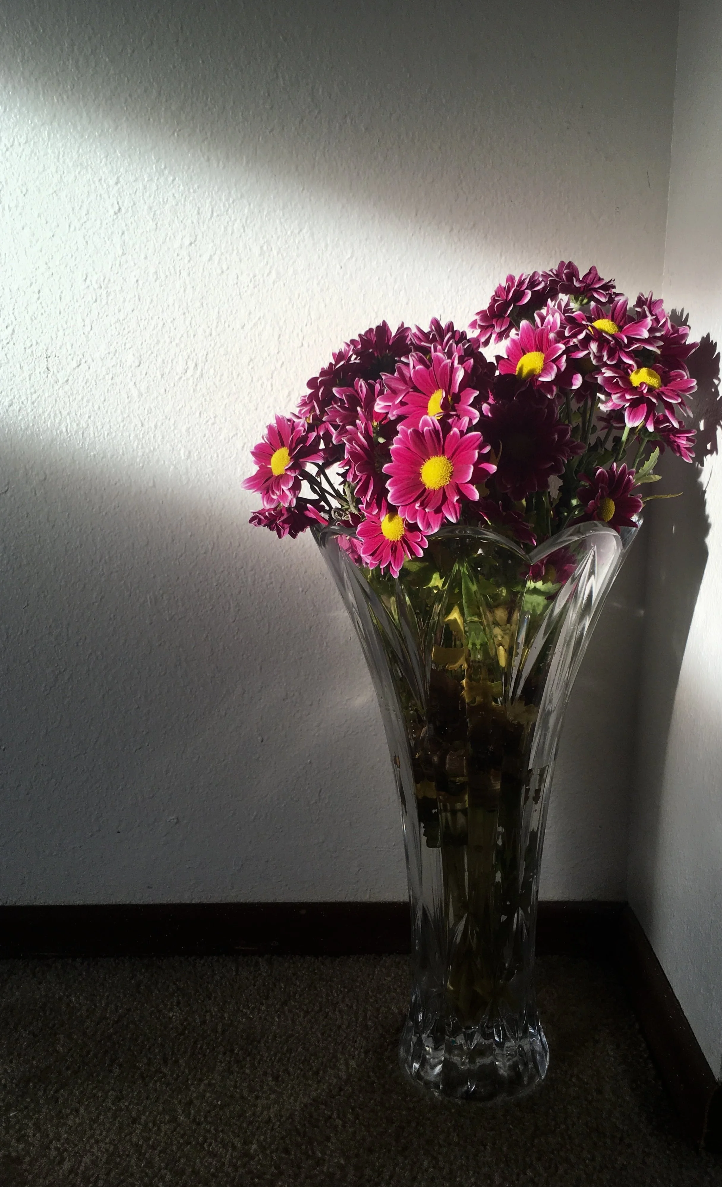 Arrangements  (4).JPG