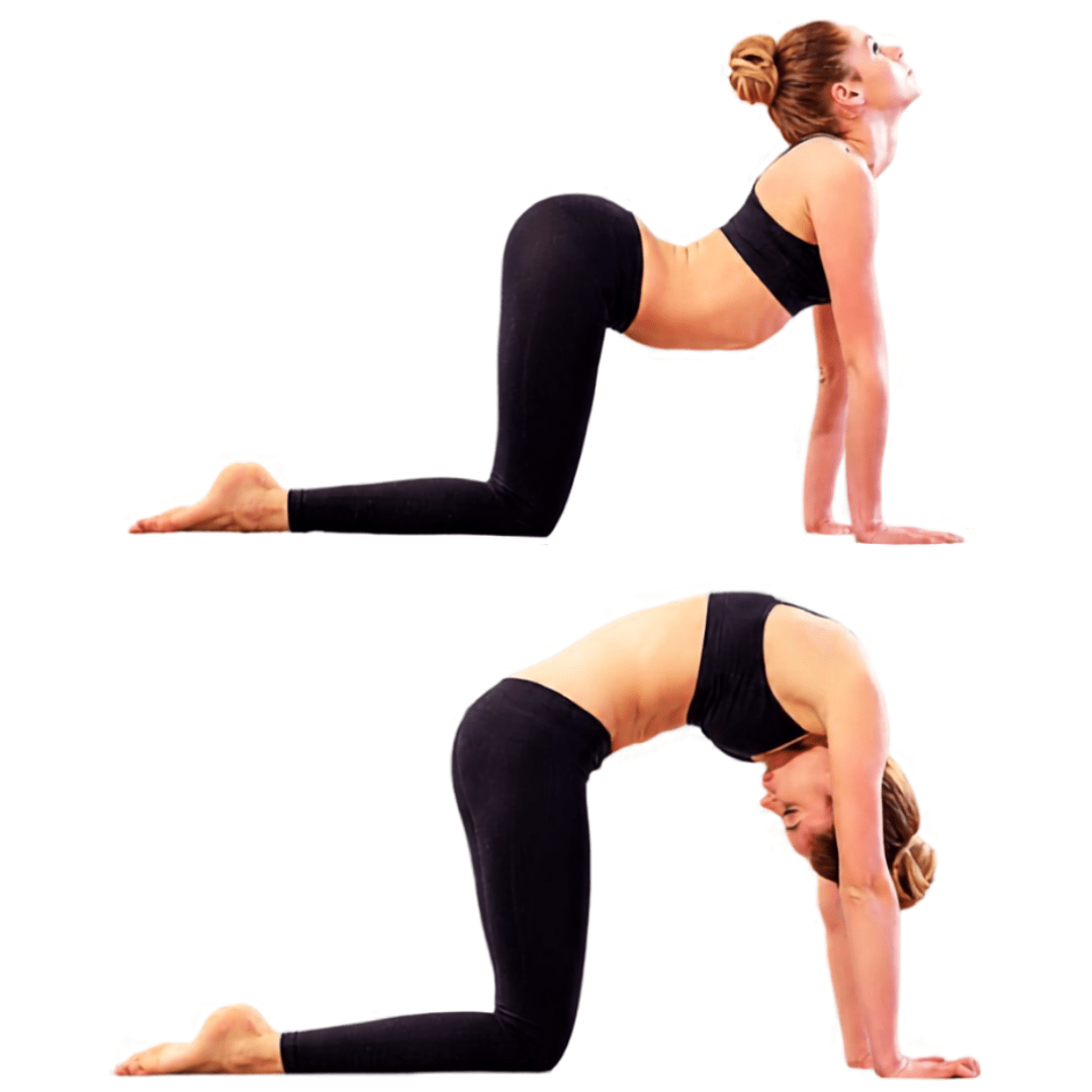 Woman demonstrating Cat-Cow yoga sequence on a white background, showing spinal flexibility and relaxation.