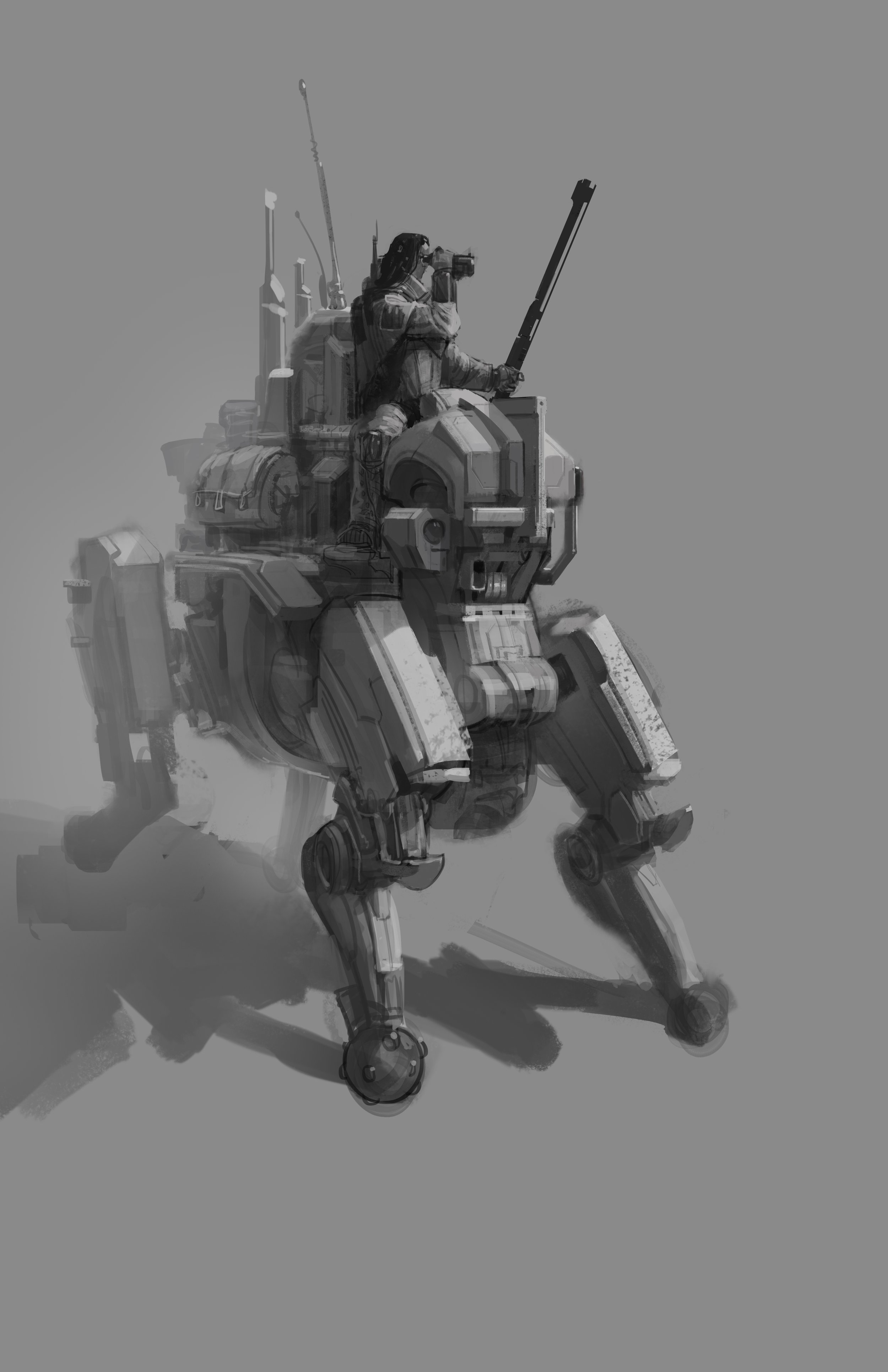 ActionShots-bot.jpg