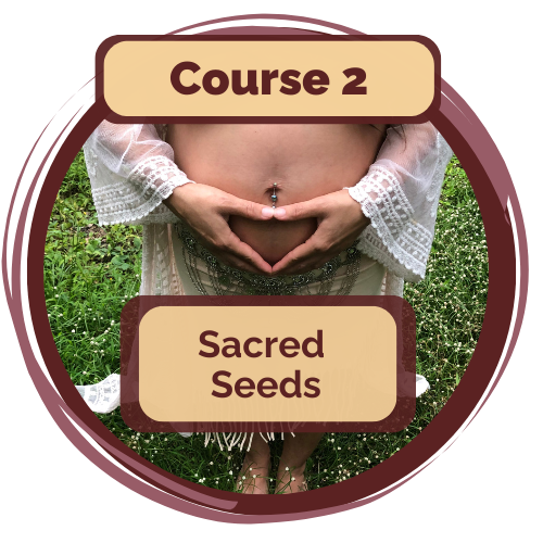 Sacred birth Path - Course 2 Image.png