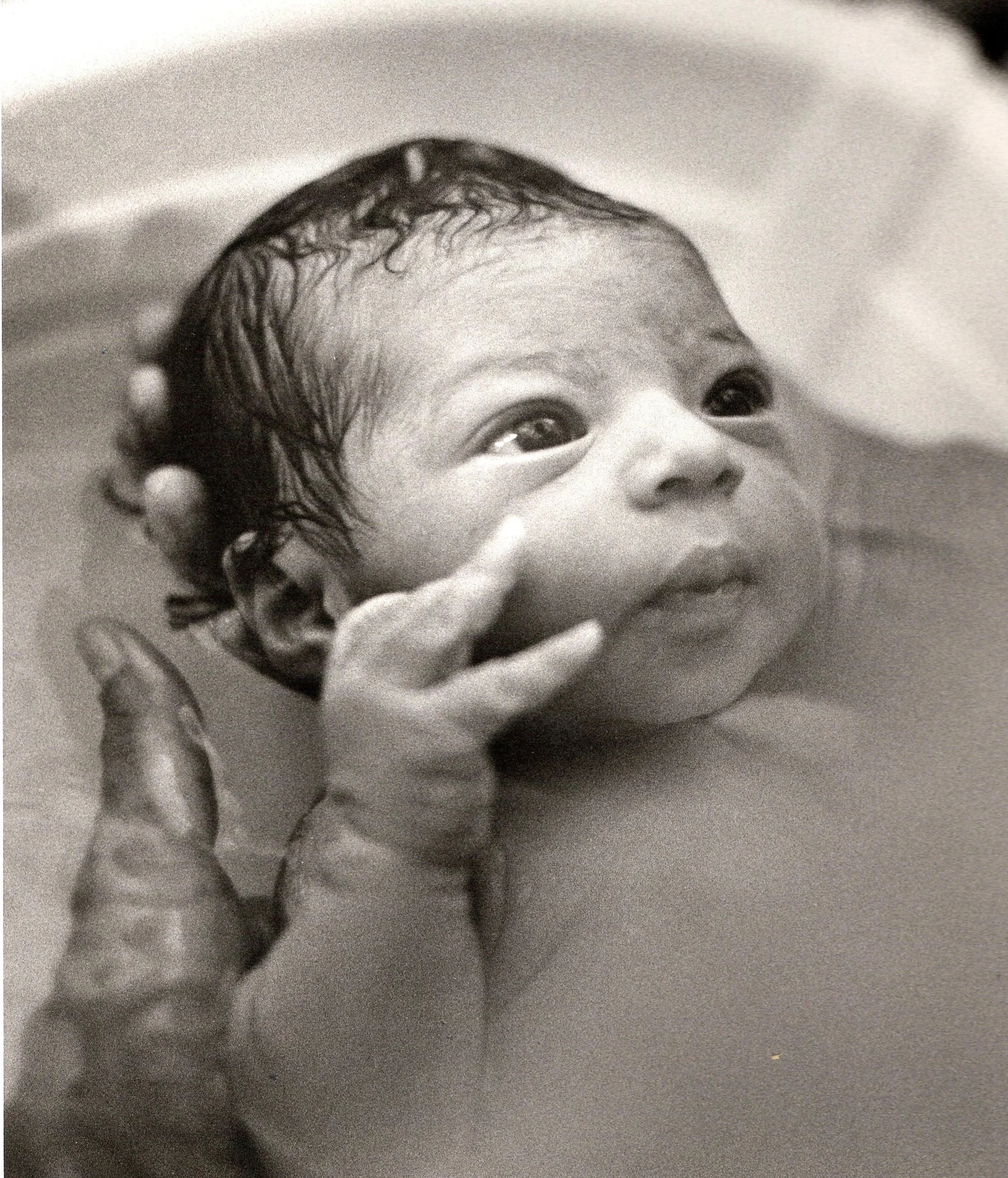 A close-up photo of a newborn baby, in water, just after a waterbirth or a Leboyer bath, taken by Suzanne Armstrong.  SacredBirthPath.com