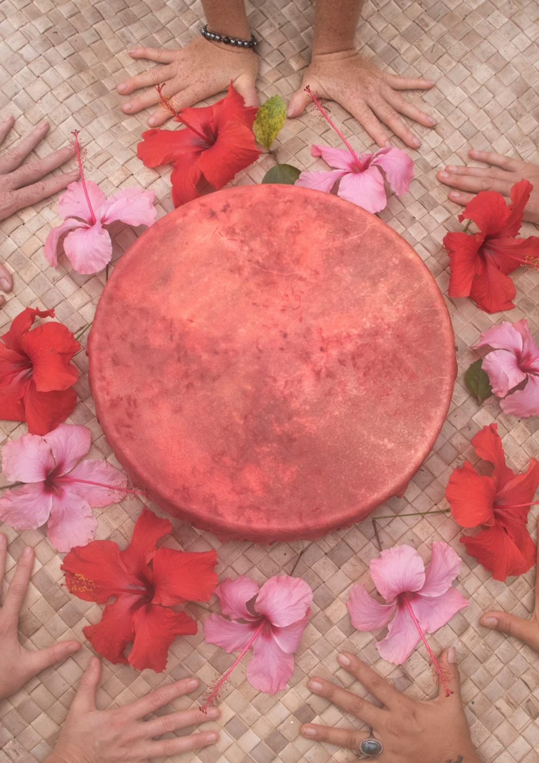 A round, medicine drum surrounded by pink and red hibiscus flowers, with several hands of doulas, midwives, and birth keepers on the Sacred Birth Path around it on a woven traditional Hawaiian Lauhala mat.  SacredBirthPath.com