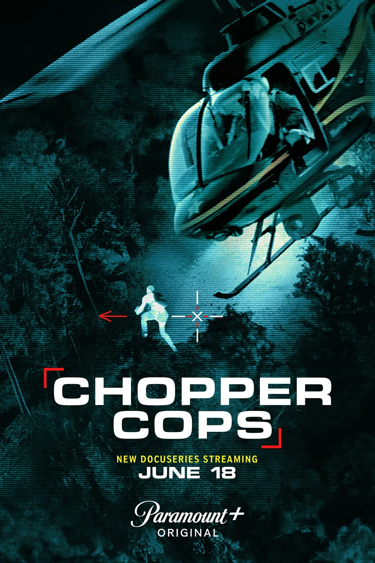 chopper_cops_xxlg_12X18_PLS1.jpg