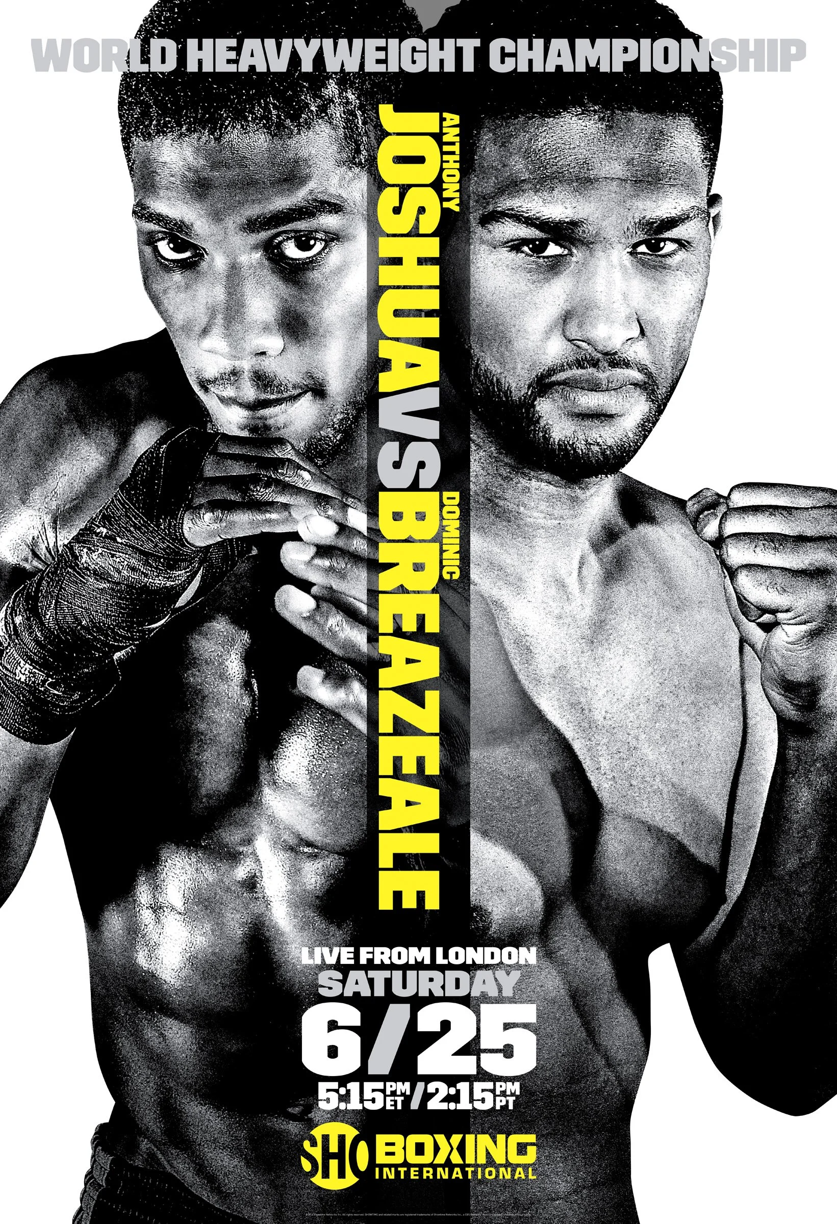 P16-19894-SED02_Joshua v Breazeale_Poster.jpg