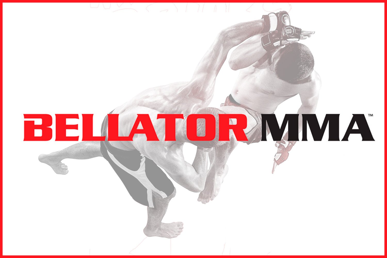 SHO_BELLATOR_stroke web1.jpg