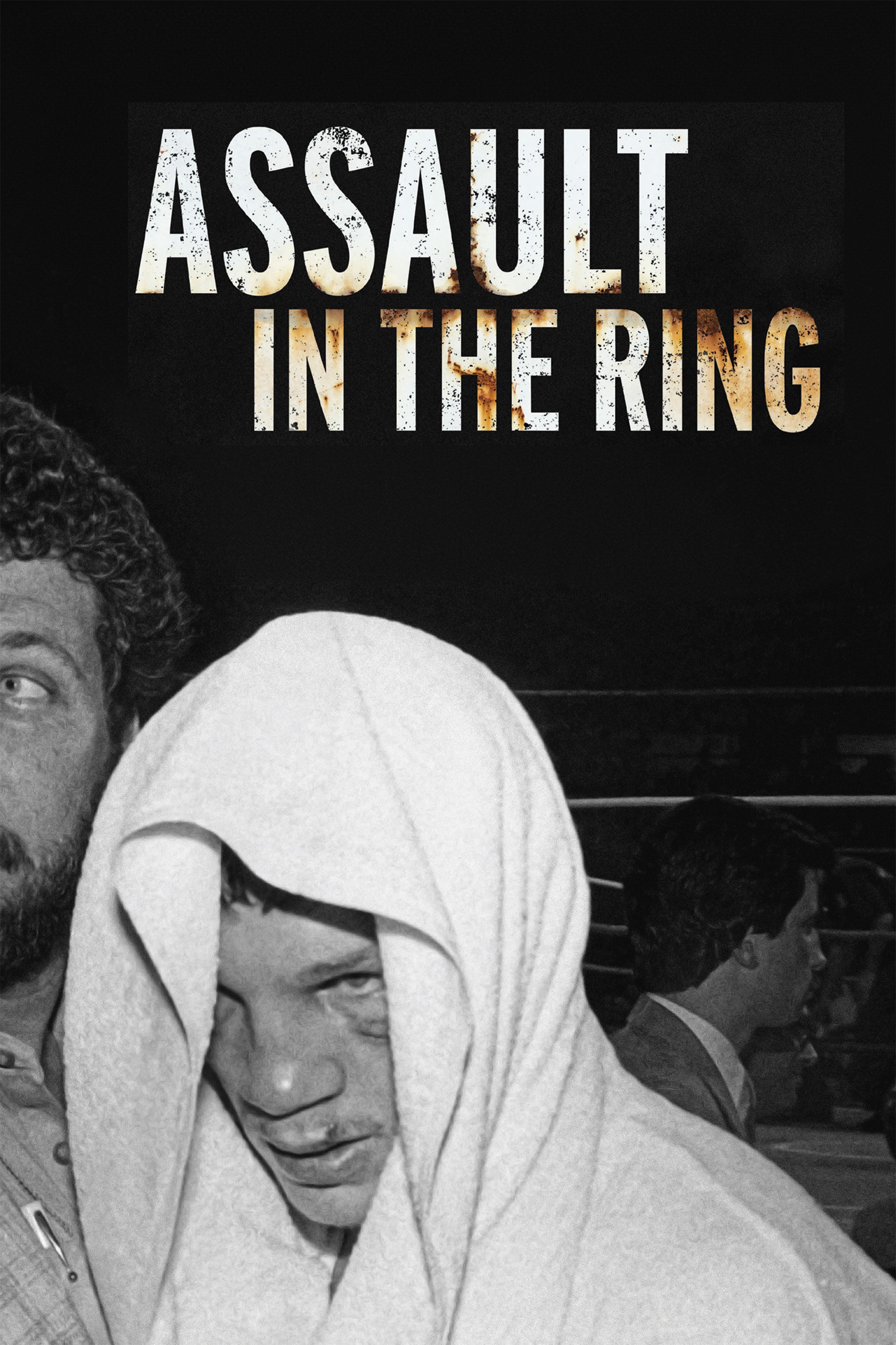 P20-24273-SED01_Assault In The Ring_Vertical_RGB_300_web1.jpg