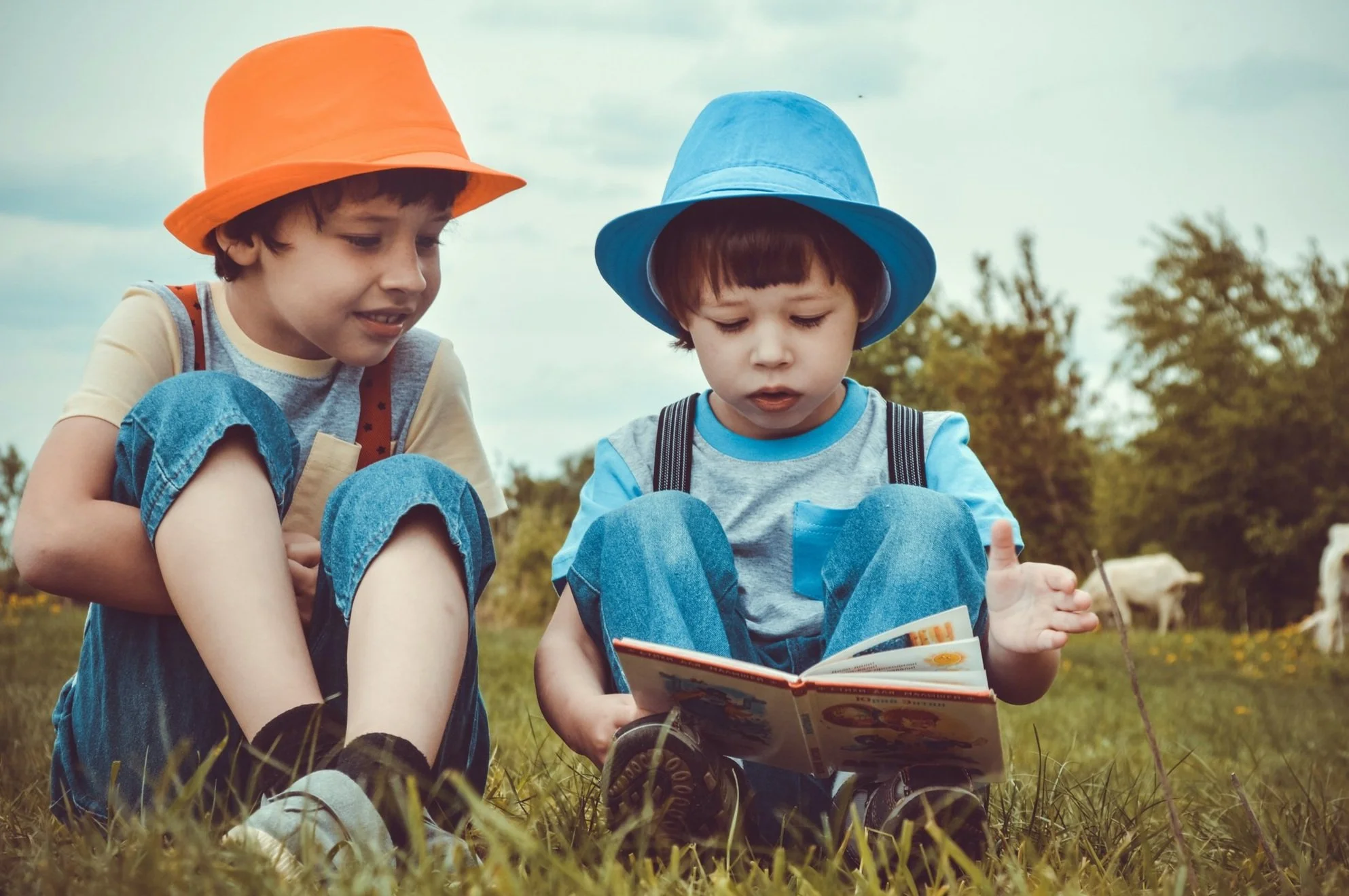 Two young boys with colored hats, one orange and one blue, sitting on grass outdoors, reading a book together with trees and sheep in the background.
