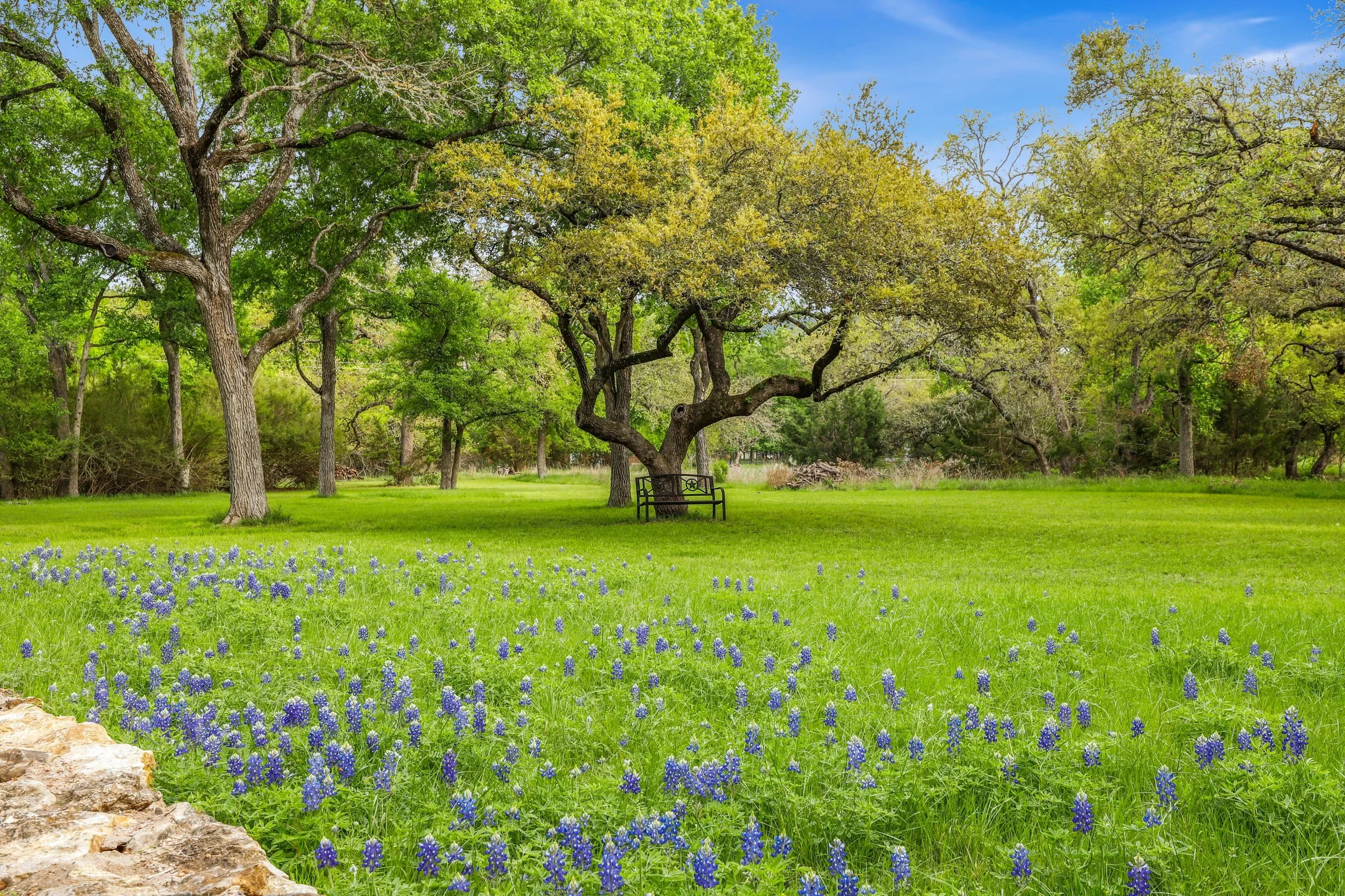 JenniferCubas2023_001 (20).jpg