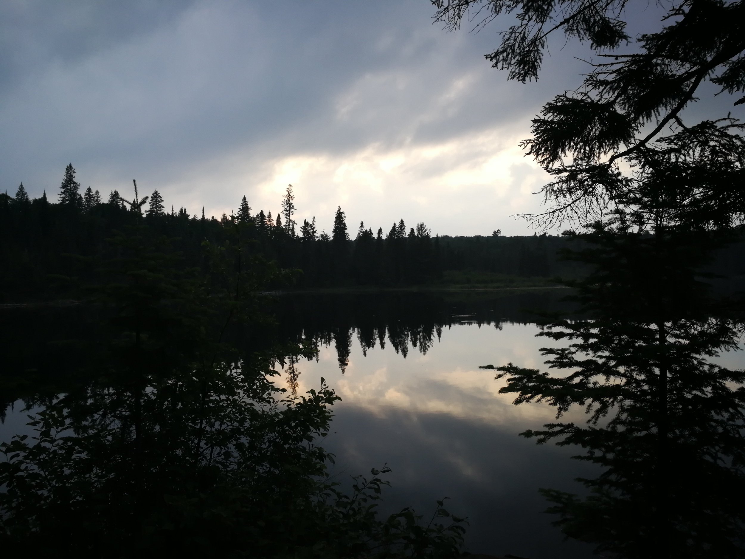 IMG_20180630_205628.jpg