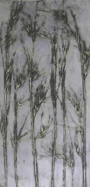 "Kangaroo Grass 1" 2/3 2015 ©Jacky Lowry; original hand coloured real-plant collagraph print on paper.