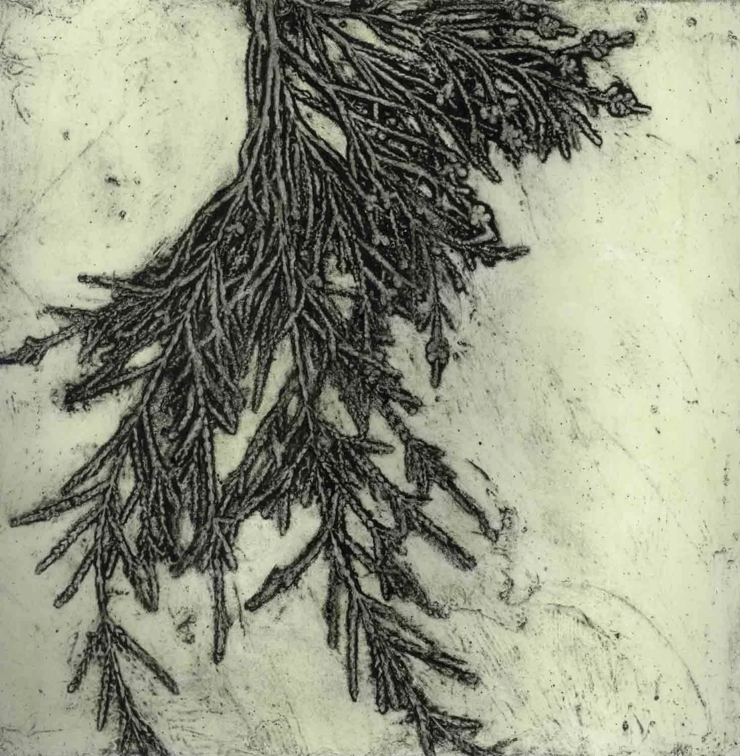 "Weeping Tree with Flowers" 1/10 2016 ©Jacky Lowry; original hand colored real-plant collagraph print on paper.