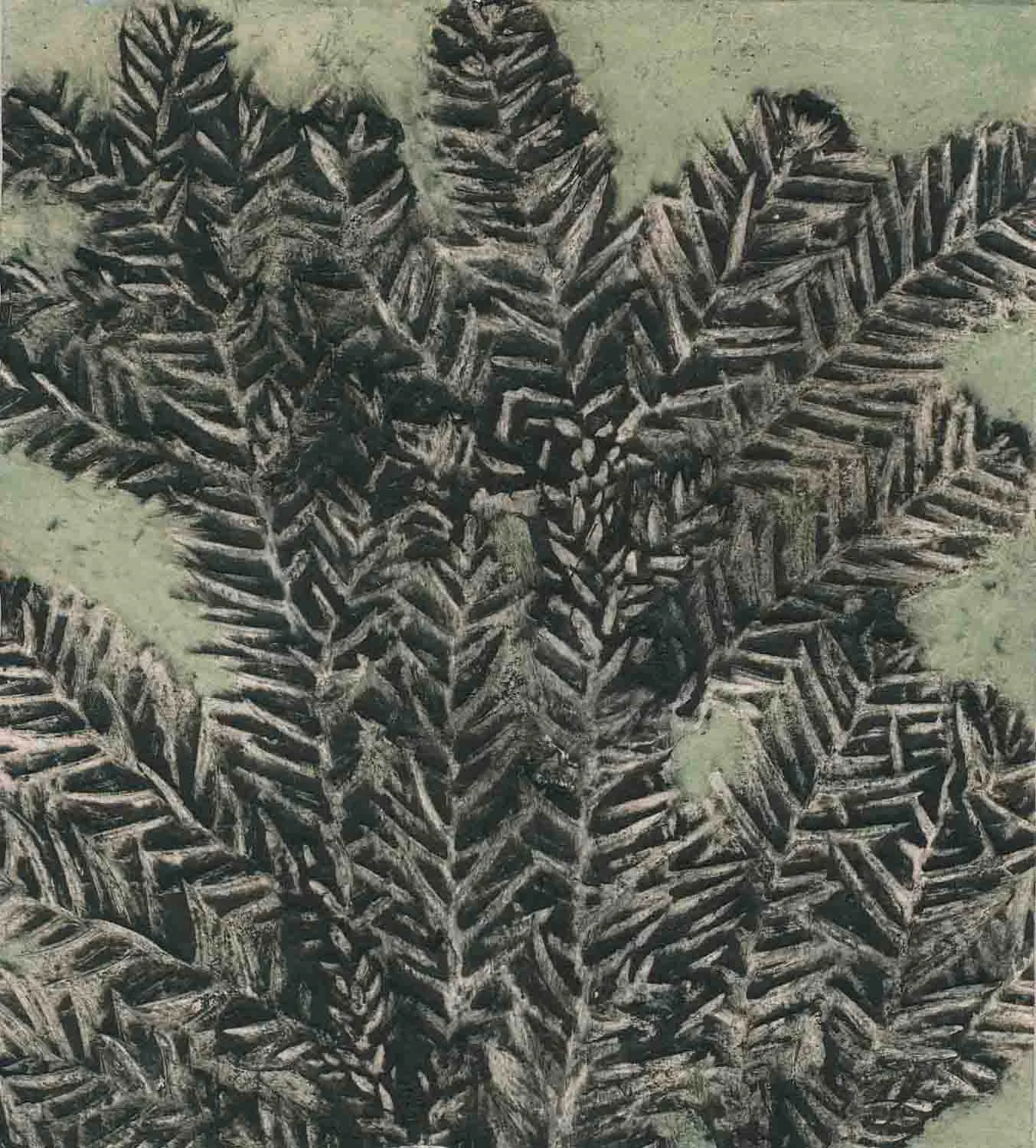 "Hoop Pine" 1/7 2019 ©Jacky Lowry; original hand coloured real plant collagraph print on paper.