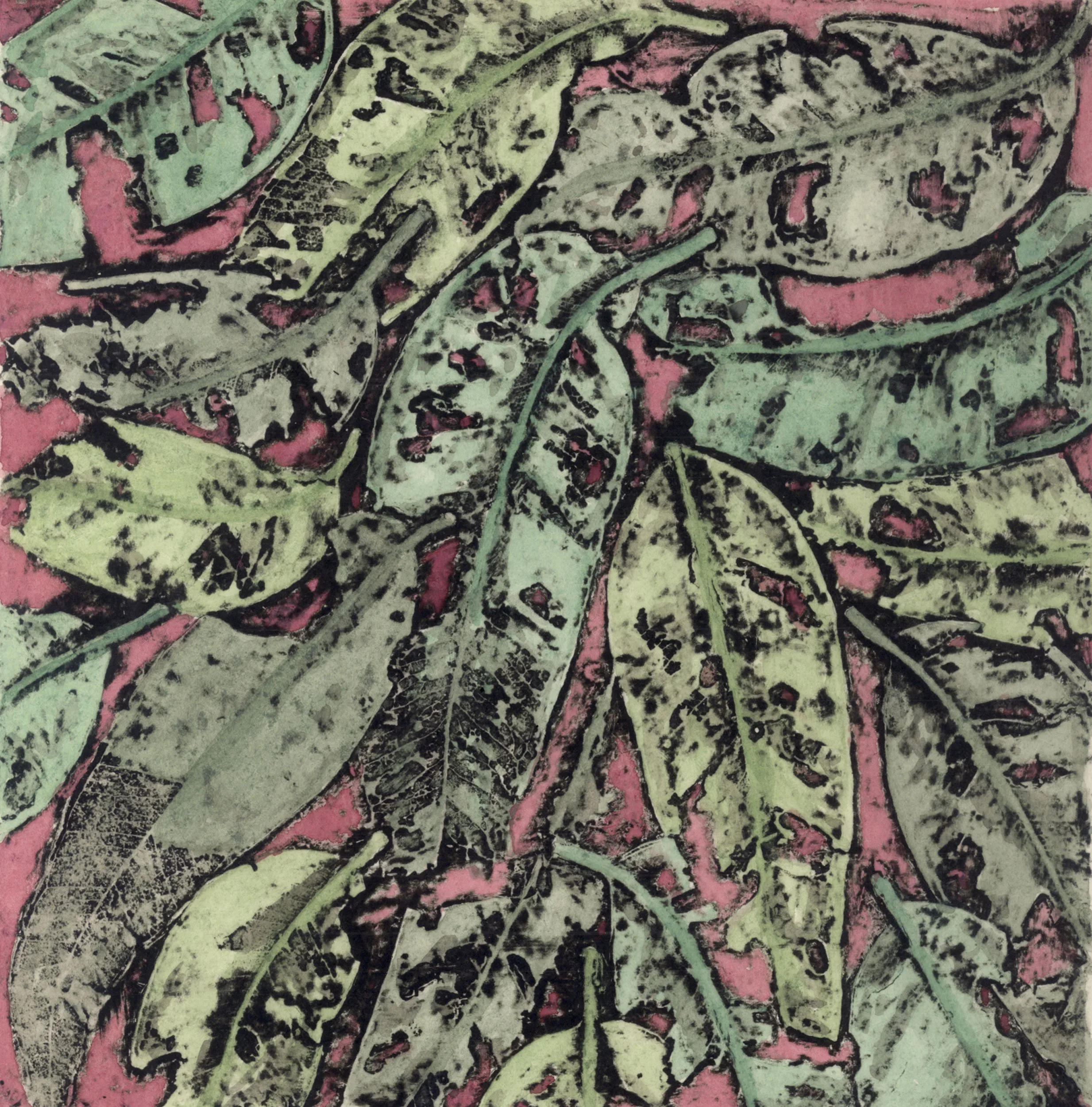 "Jarrah 1" 2/24 2014 ©Jacky Lowry; original hand coloured real-plant collagraph print ion paper.