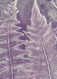 Fishbone_Fern_3.-small Small.jpeg