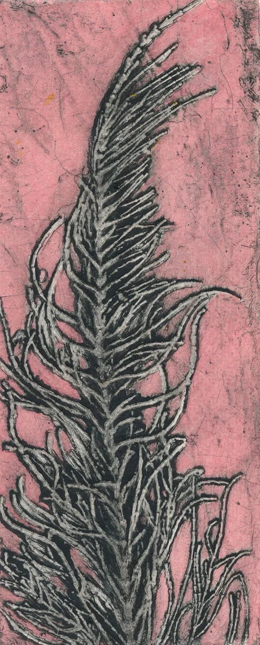 "Sheoak with Female Flowers 4" 3/6 2024 ©Jacky Lowry; original hand coloured  real-plant collagraph print on paper.