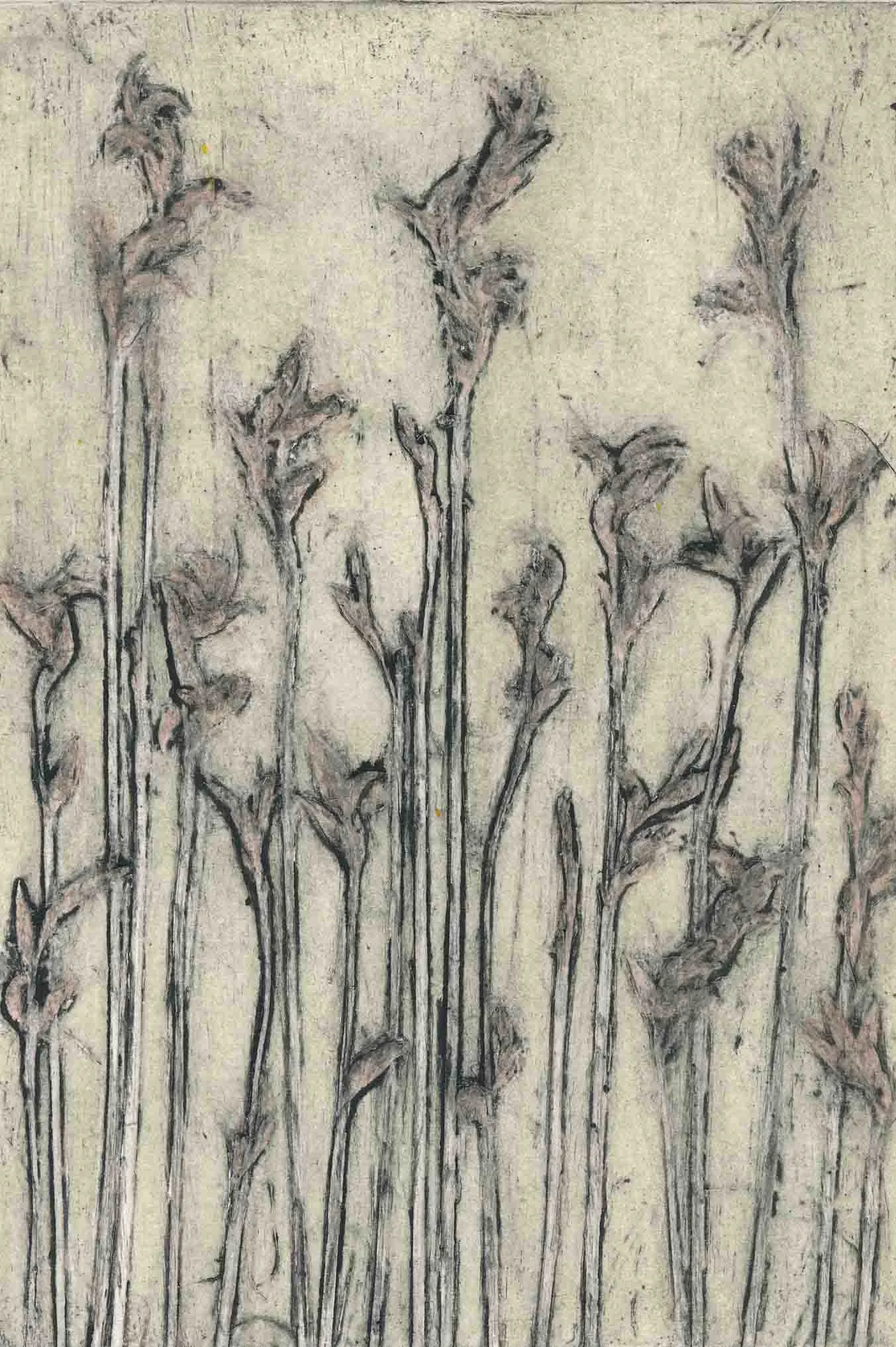 "Arthur River Sea Rush" EV1/5 2025 ©Jacky Lowry; original hand coloured real-plant collagraph print on paper.