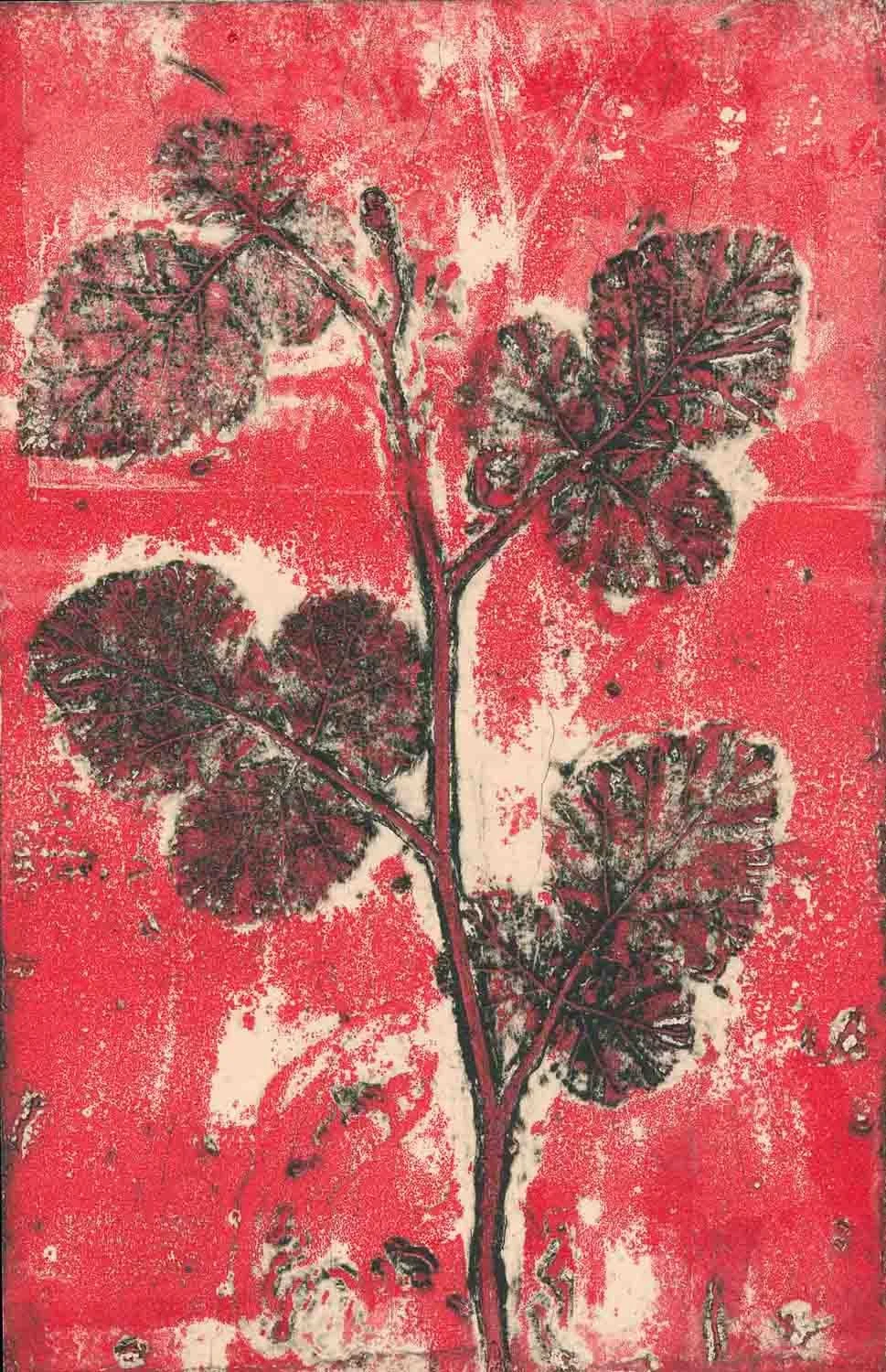 "Wild Raspberry 1,"EV2/7 2020 ©Jacky Lowry; original real-plant collagraph print with surface roll on paper.