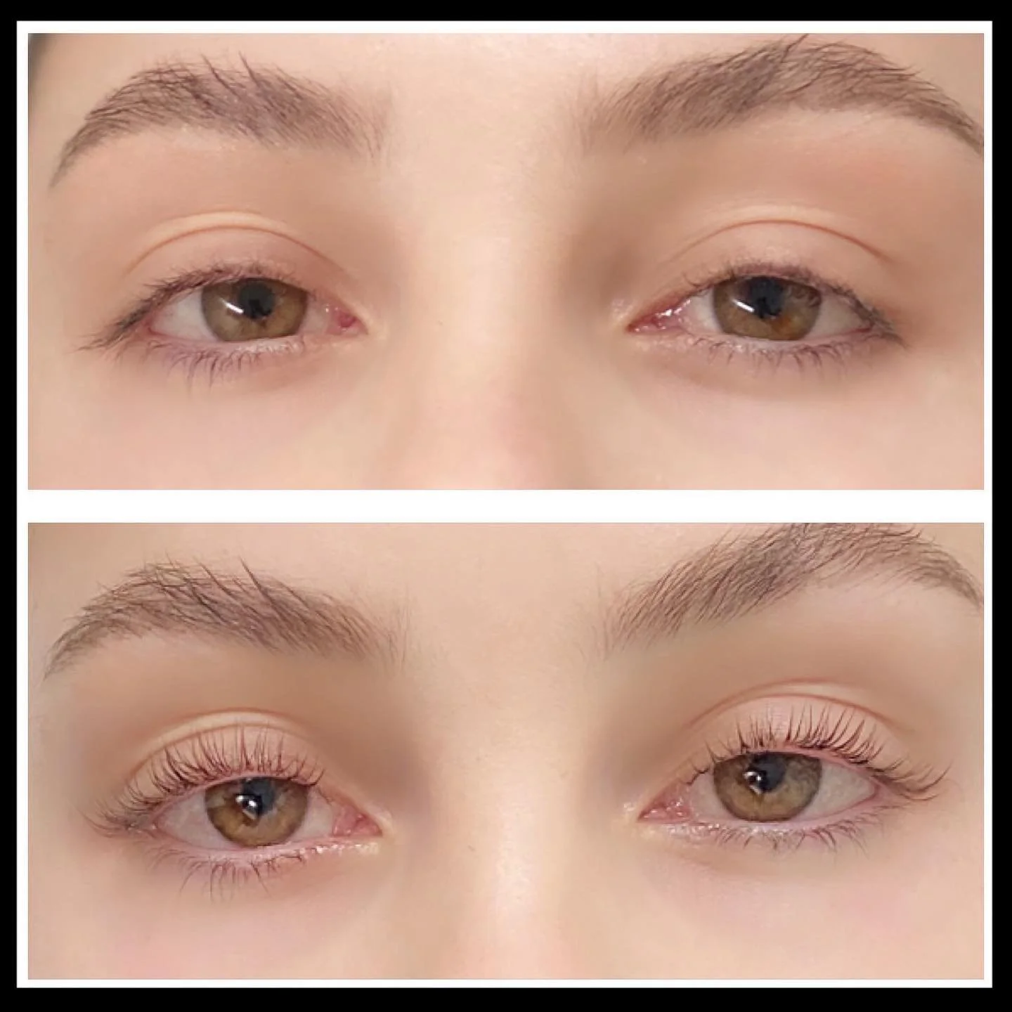 lash lift no tint.jpg