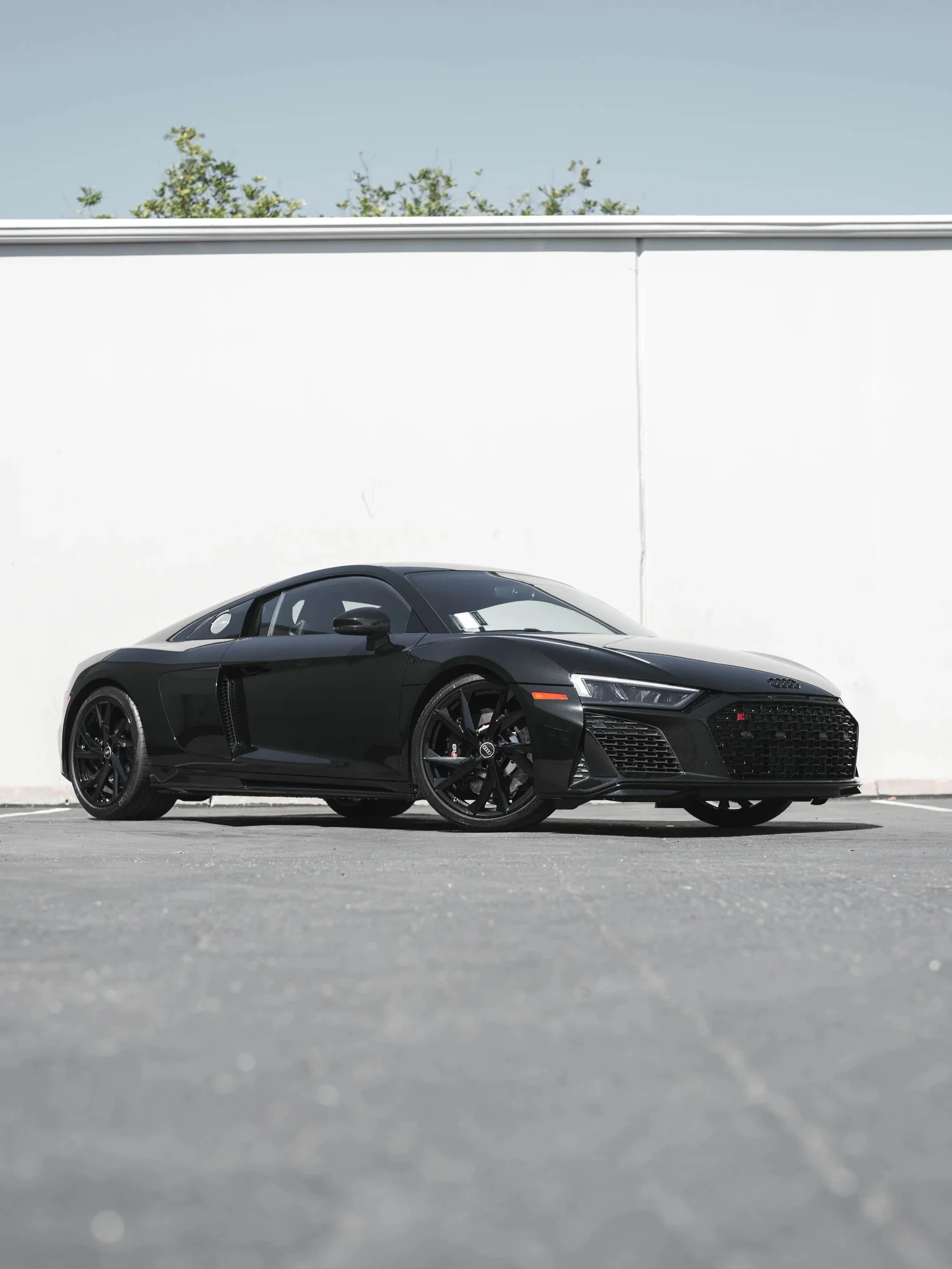 Audi R8 after Ceramic Coating, left-side profile