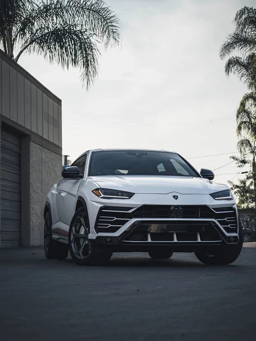 Lamborghini Urus Custom Project project cover