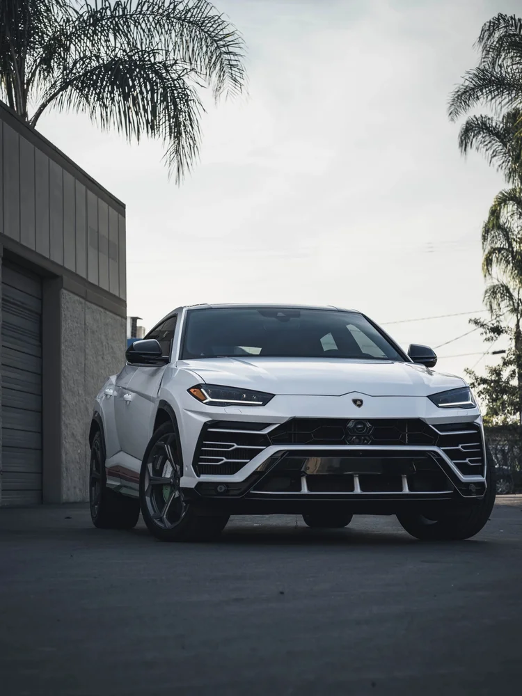 Complete white Lamborghini Urus from a low front three-quarter angle, beneath palm trees beside a gray building.