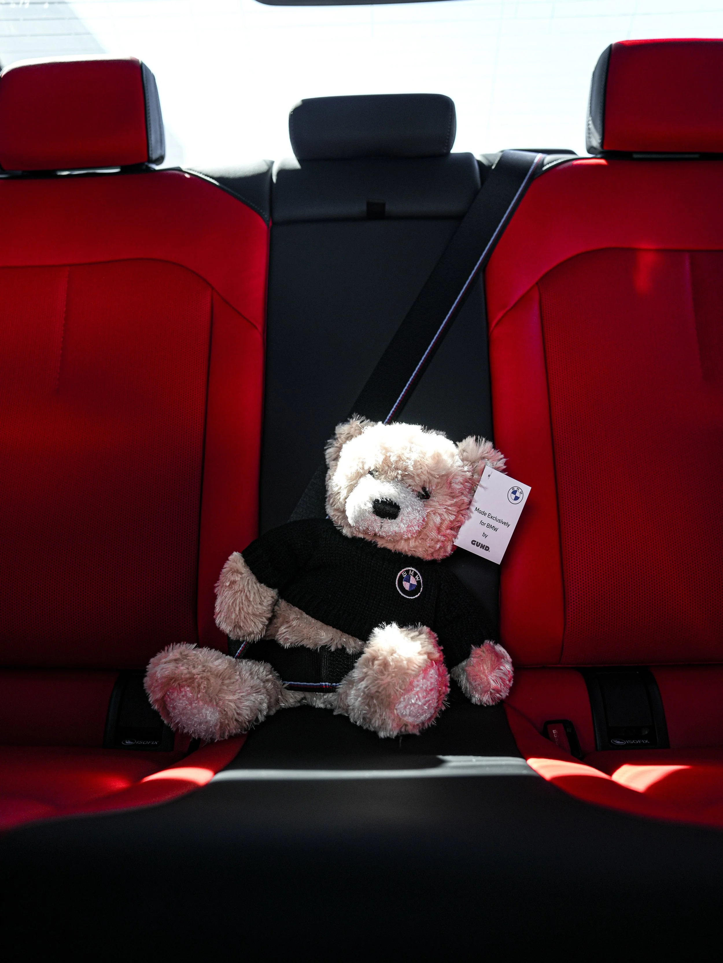 A teddy bear wearing a black sweater with a BMW logo, sitting on a red car back seat with a black seatbelt.