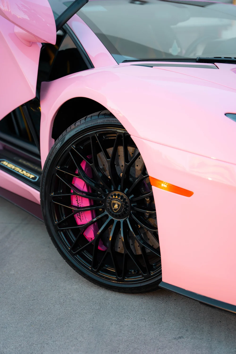 Portrait view of the Aventador black front wheel and Sakura Pink brake caliper beneath the pink fender