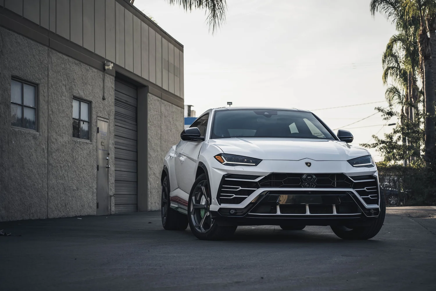 Complete white Lamborghini Urus in a landscape front three-quarter view, with gray wheels beside the garage and palms.