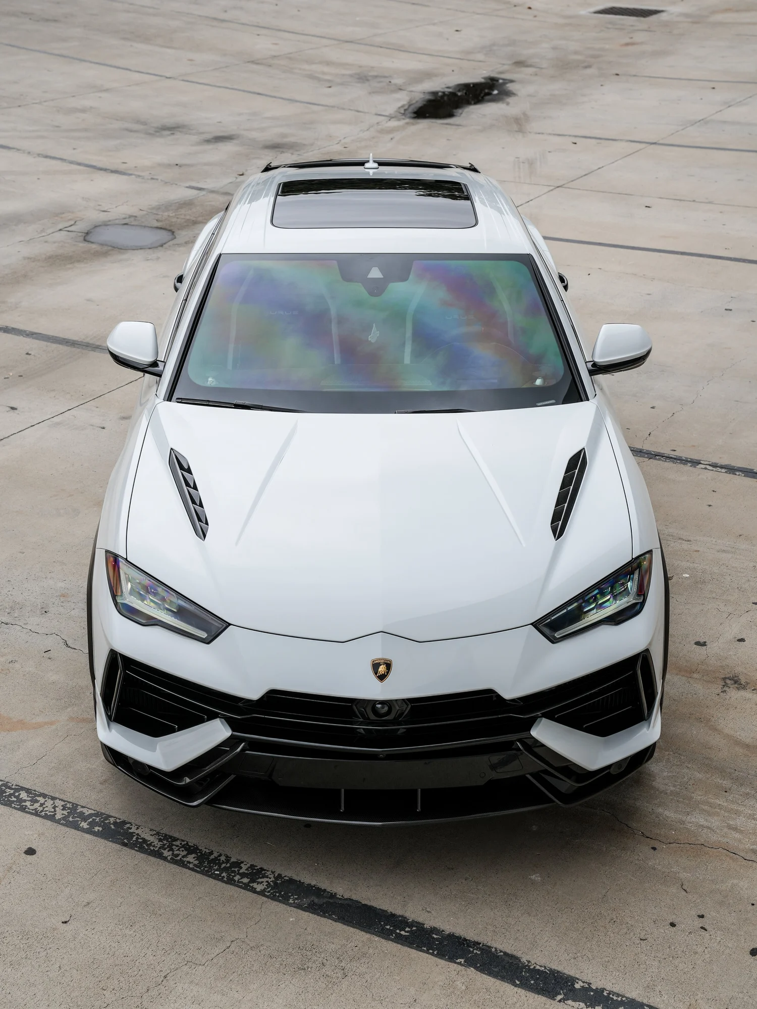Lamborghini Urus Performante elevated head-on front view after full exterior PPF, window tint and ceramic coating