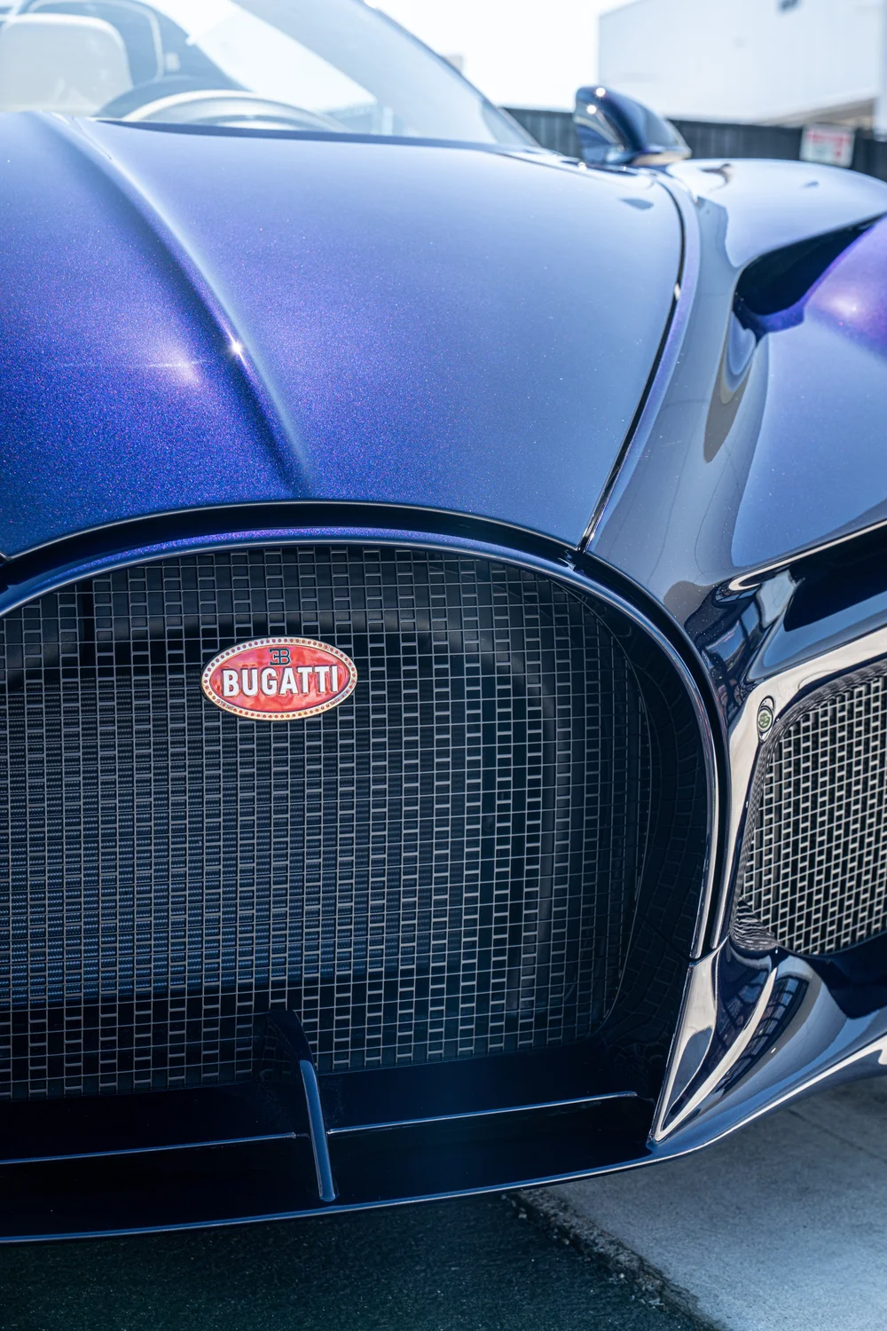 Bugatti W16 Mistral horseshoe grille protection detail