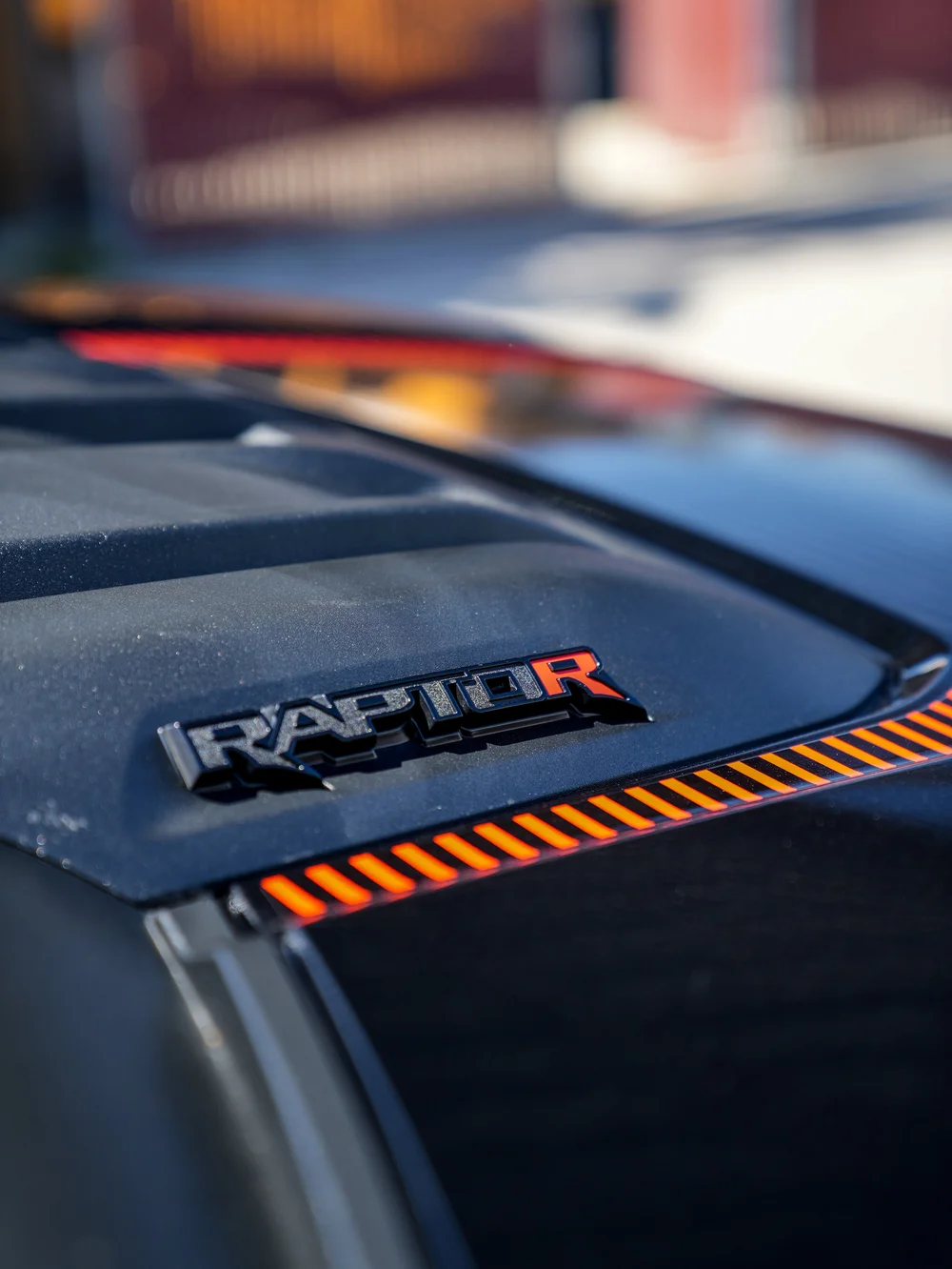 Raptor R hood badge and red striped graphic in close-up.