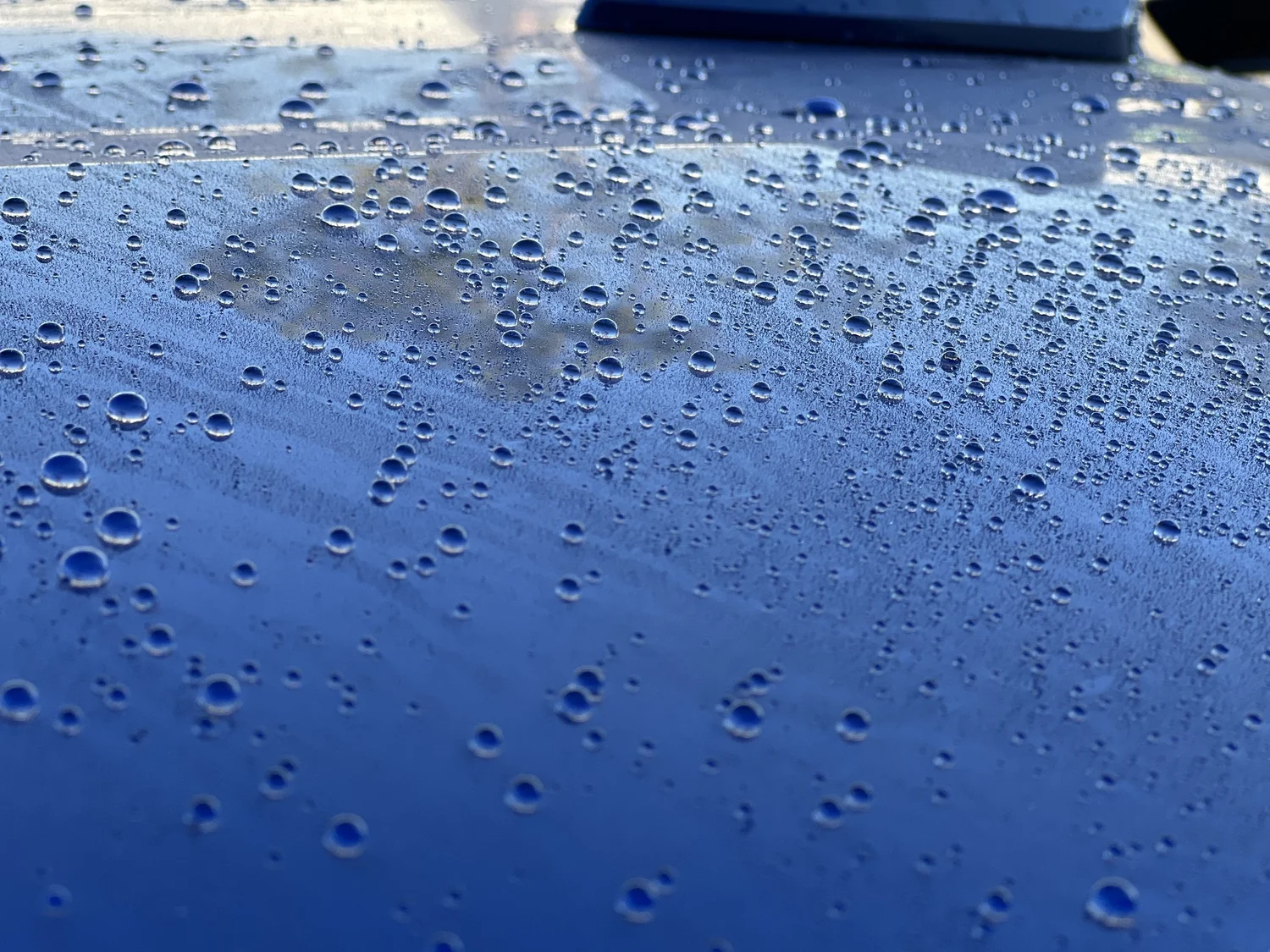 Water beading across a blue vehicle surface protected with ceramic coating