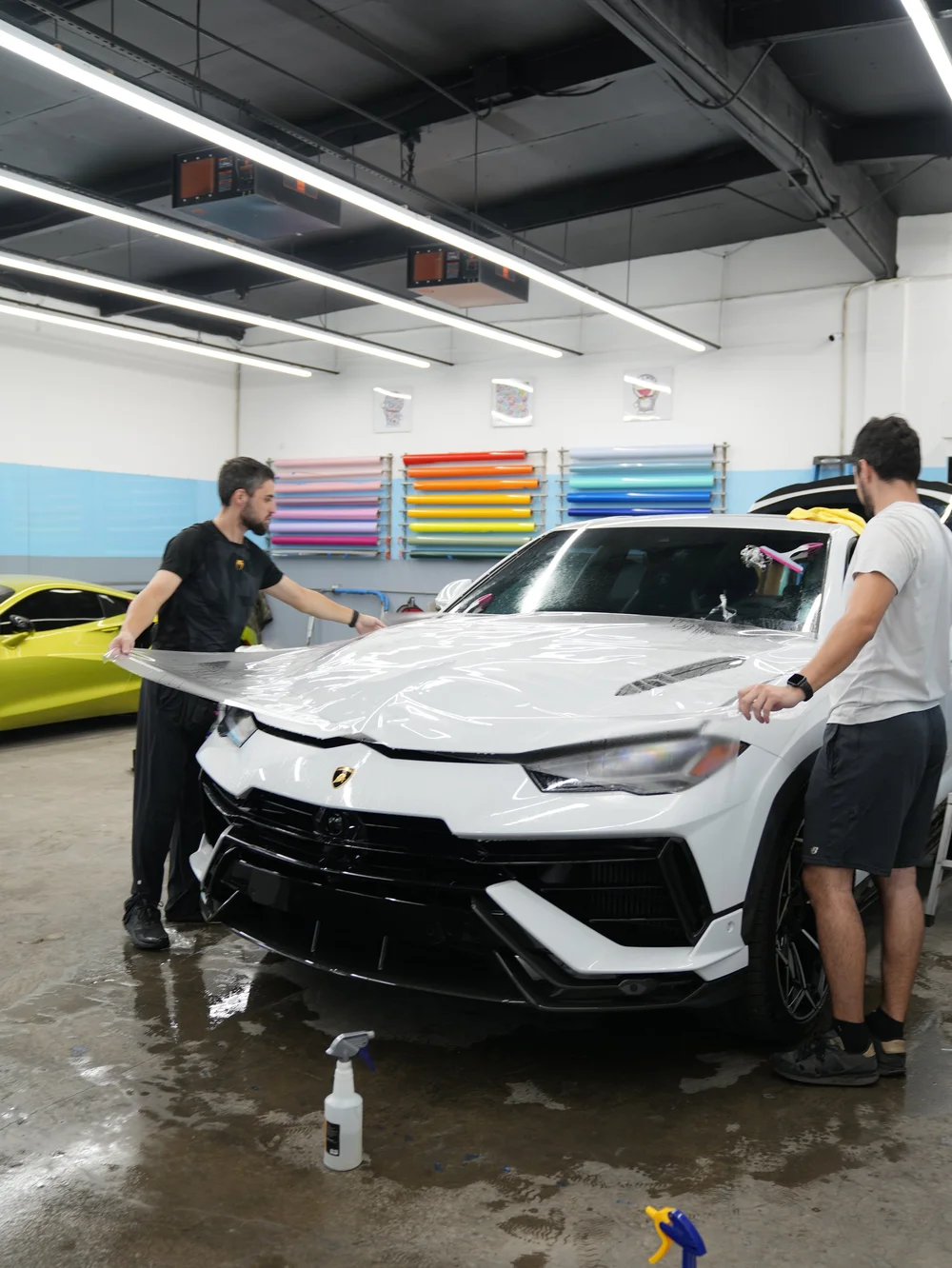Two technicians holding a broad wet clear film sheet across the white Urus hood inside the studio.