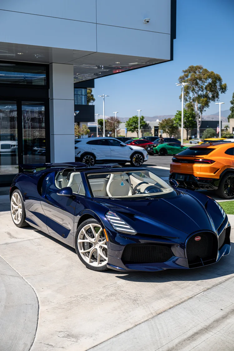 Bugatti Mistral full-body paint protection film