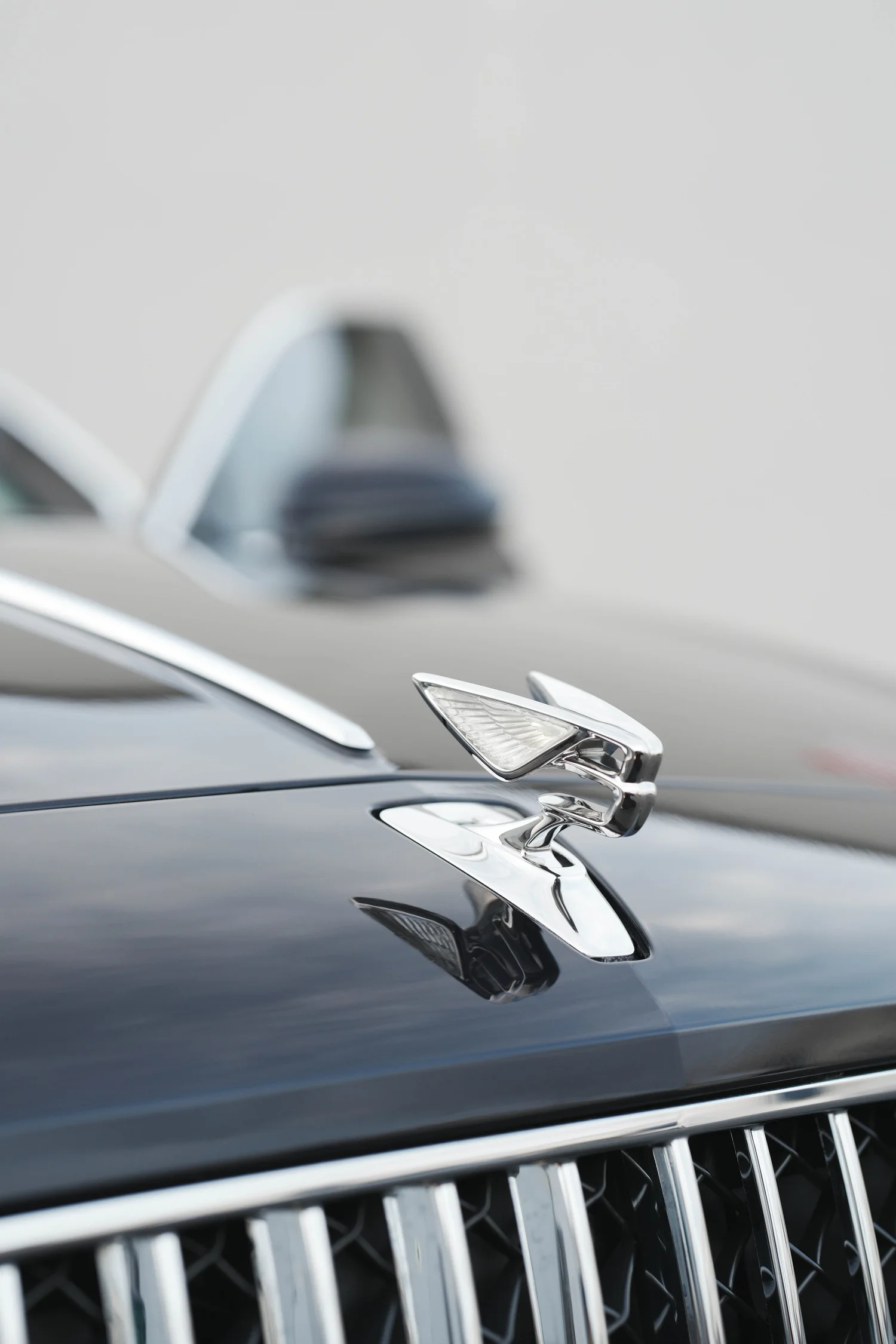 Bentley Flying Spur after Paint Protection Film (PPF), Window Tint and Ceramic Coating, badge and emblem detail