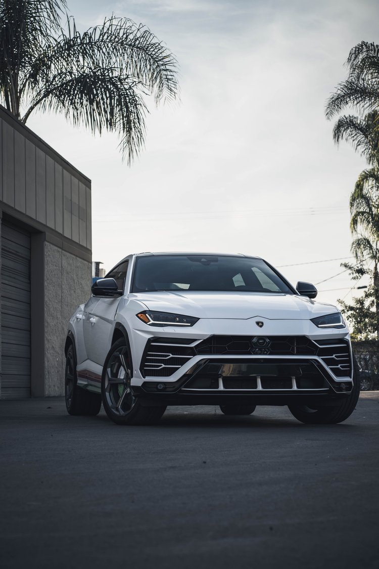 Complete white Urus in a tall front three-quarter frame, with dark grilles and palm trees above the building.