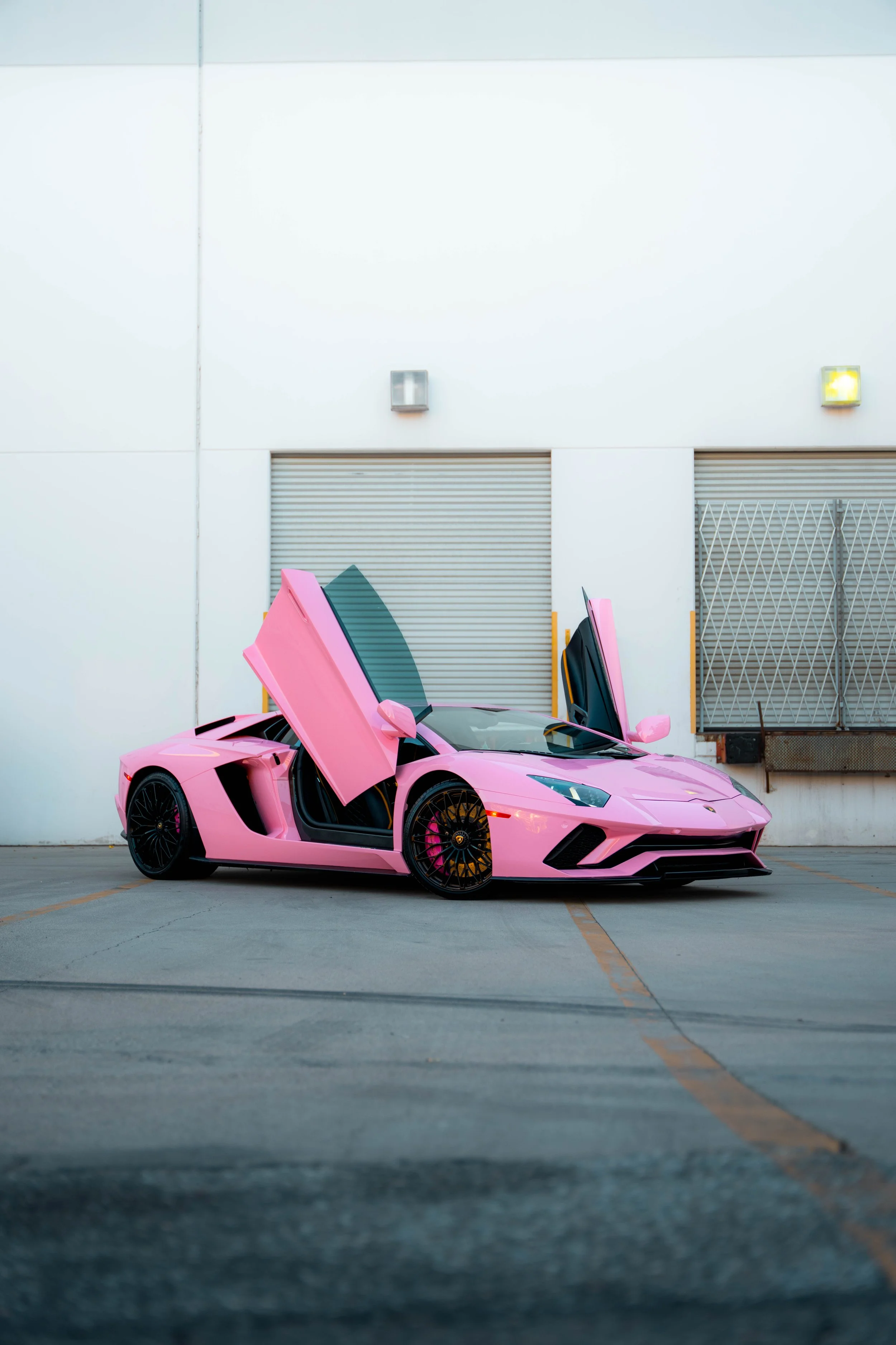 Aventador Sakura Pink Vinyl