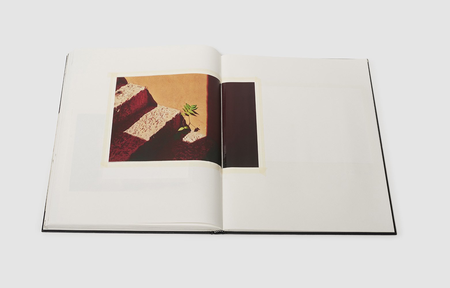 Scrapbook0460 copy.jpg