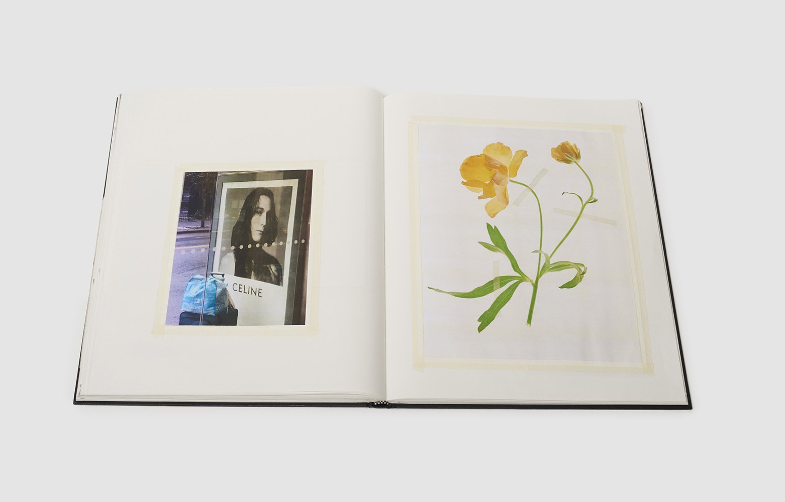 Scrapbook0445 copy.jpg