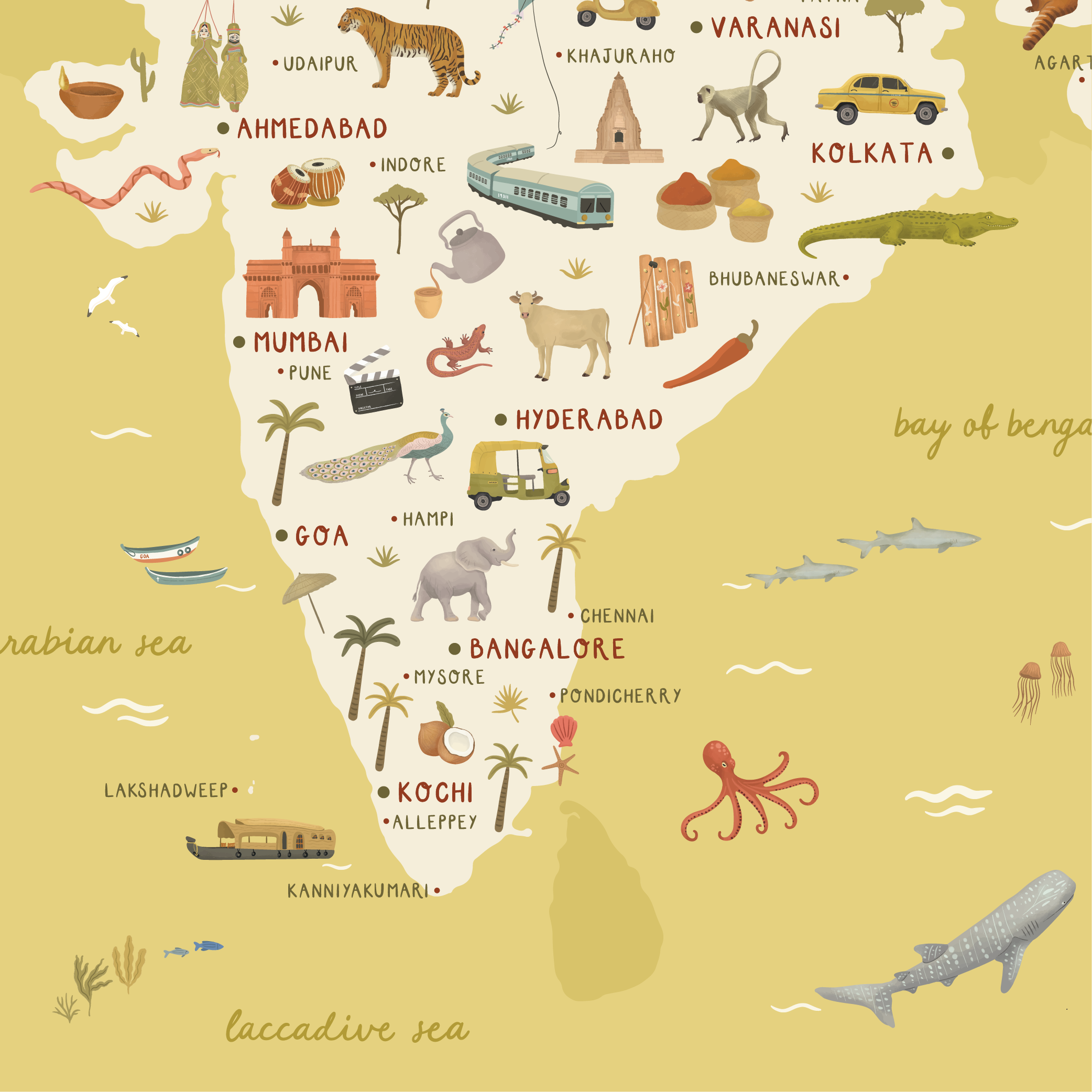 India-Map-Mockups-07.png