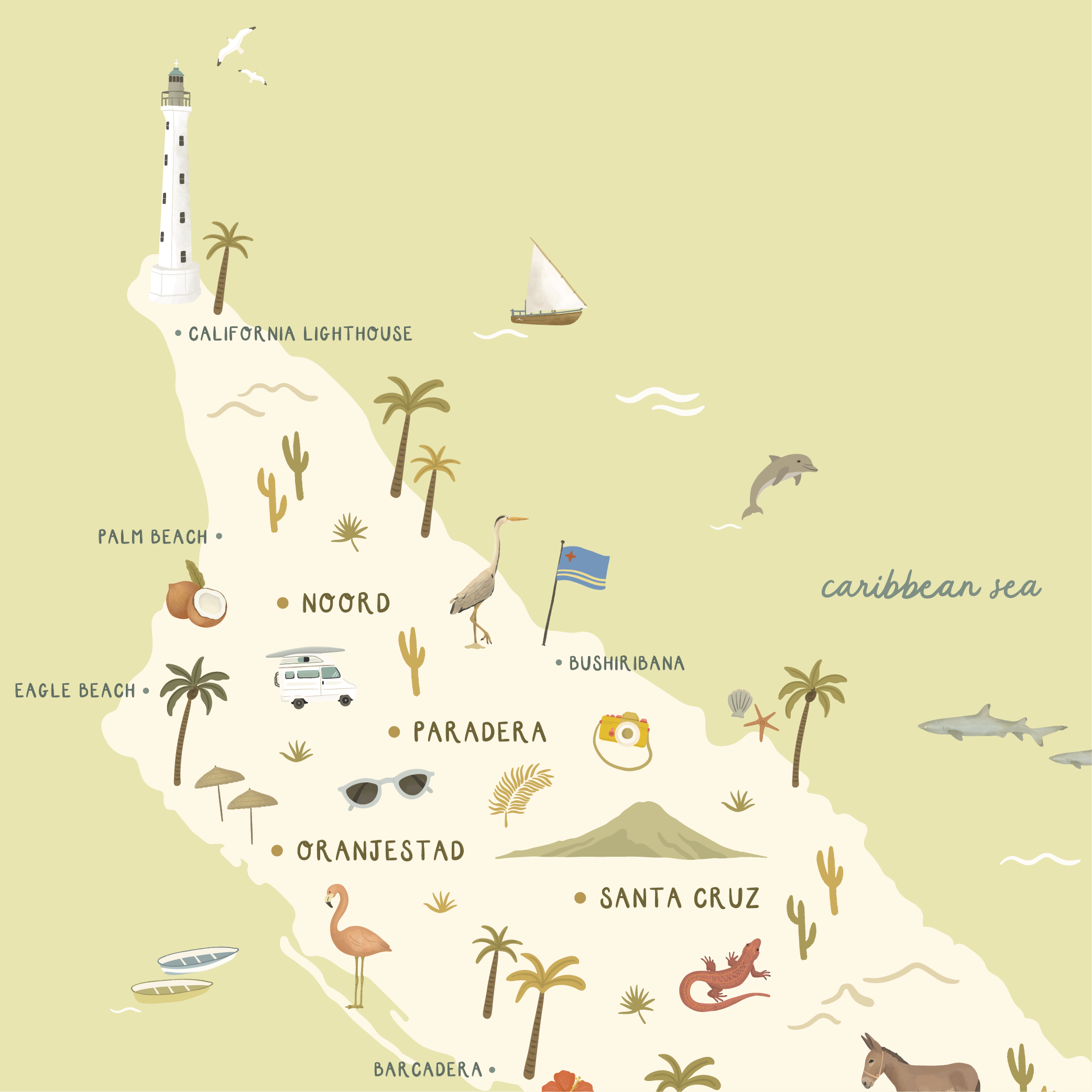 Aruba-Closeup-01.png
