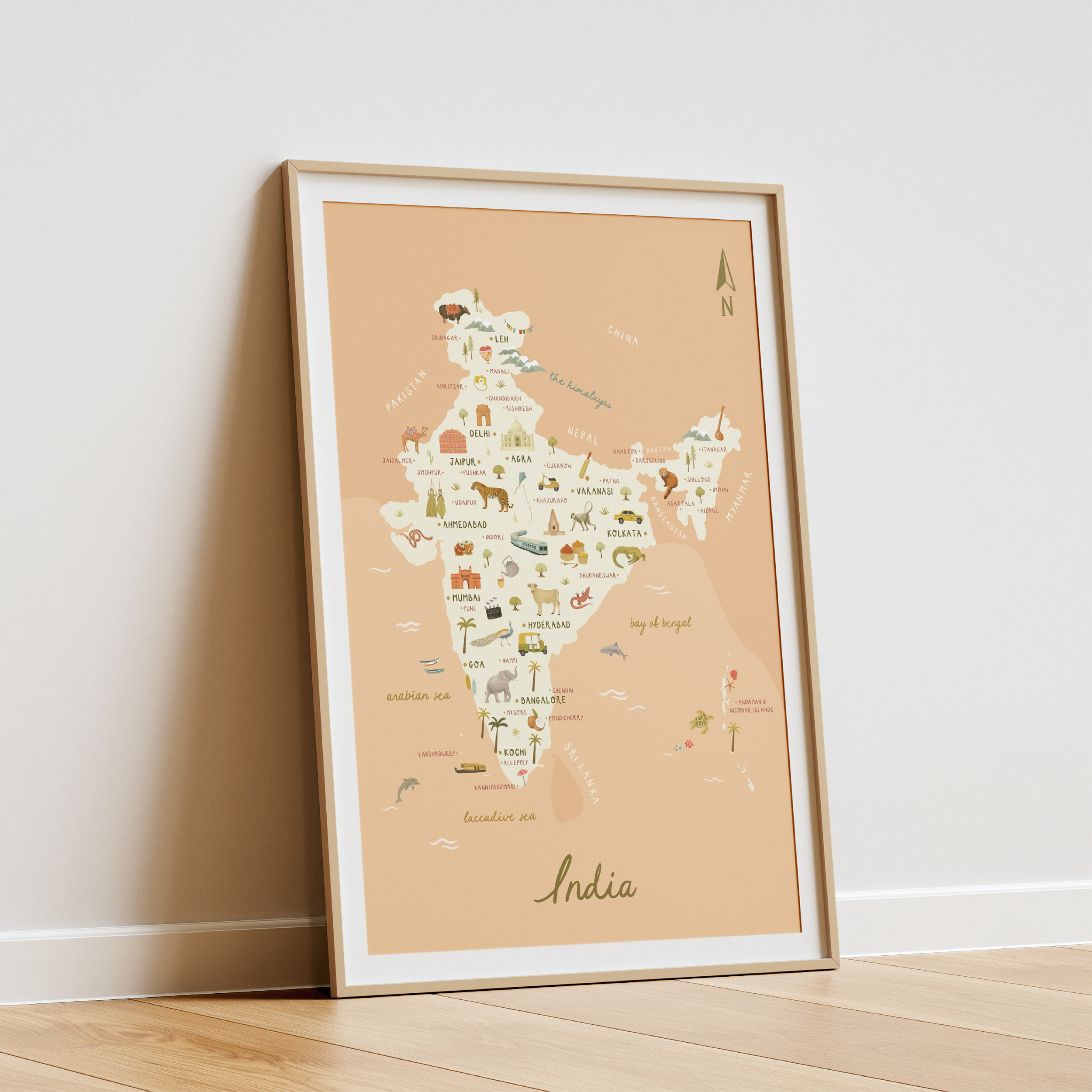 India-Pink-03.png