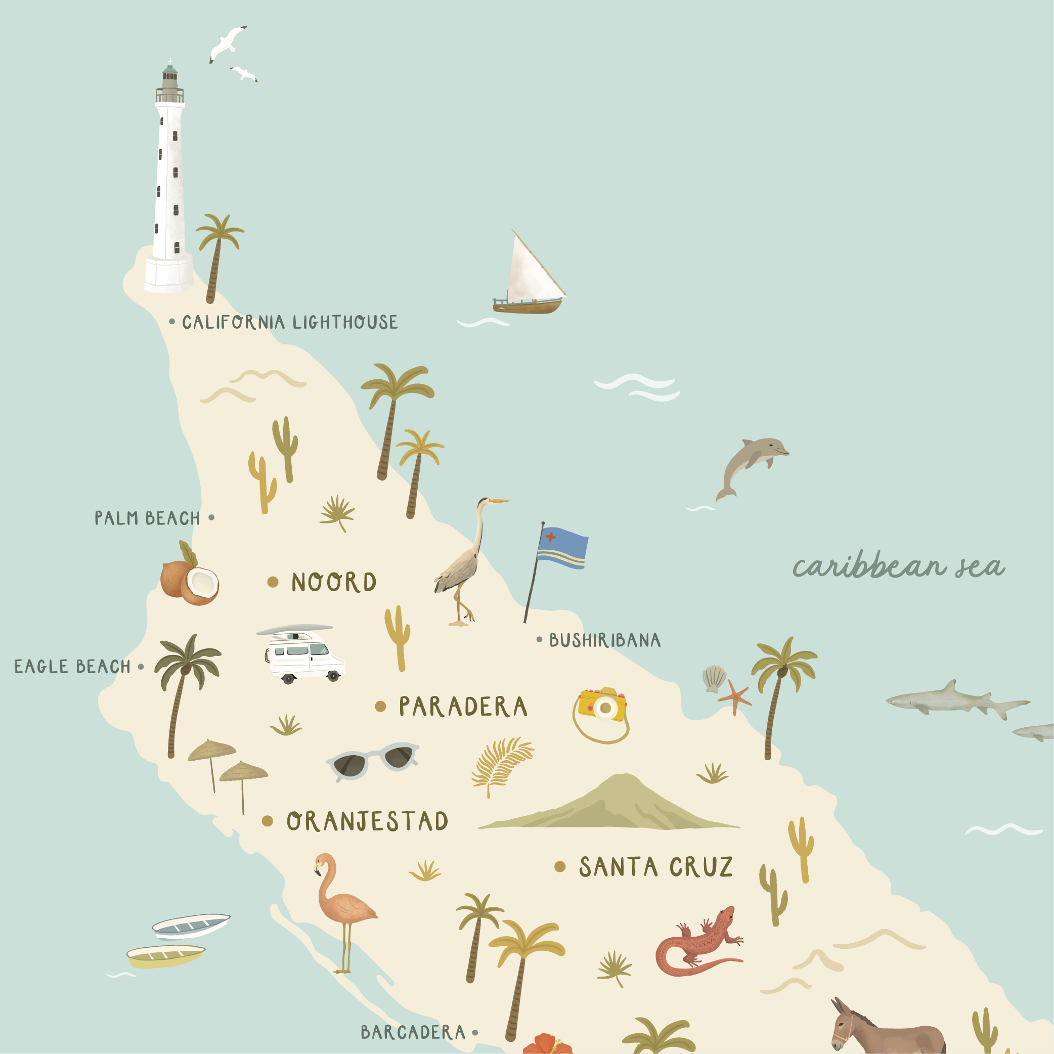 Aruba-Closeup-02.png