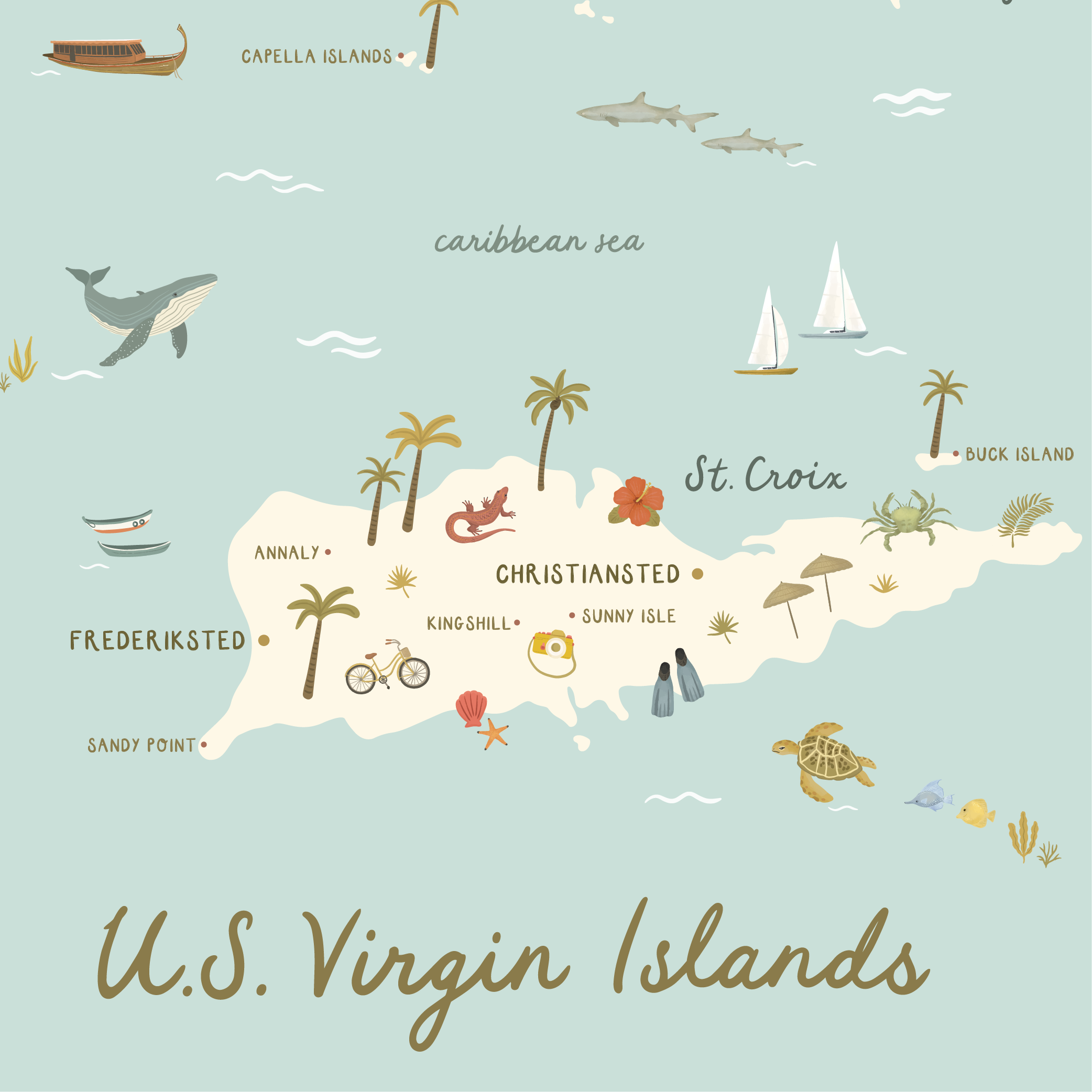 USVI-Mockup-11.png
