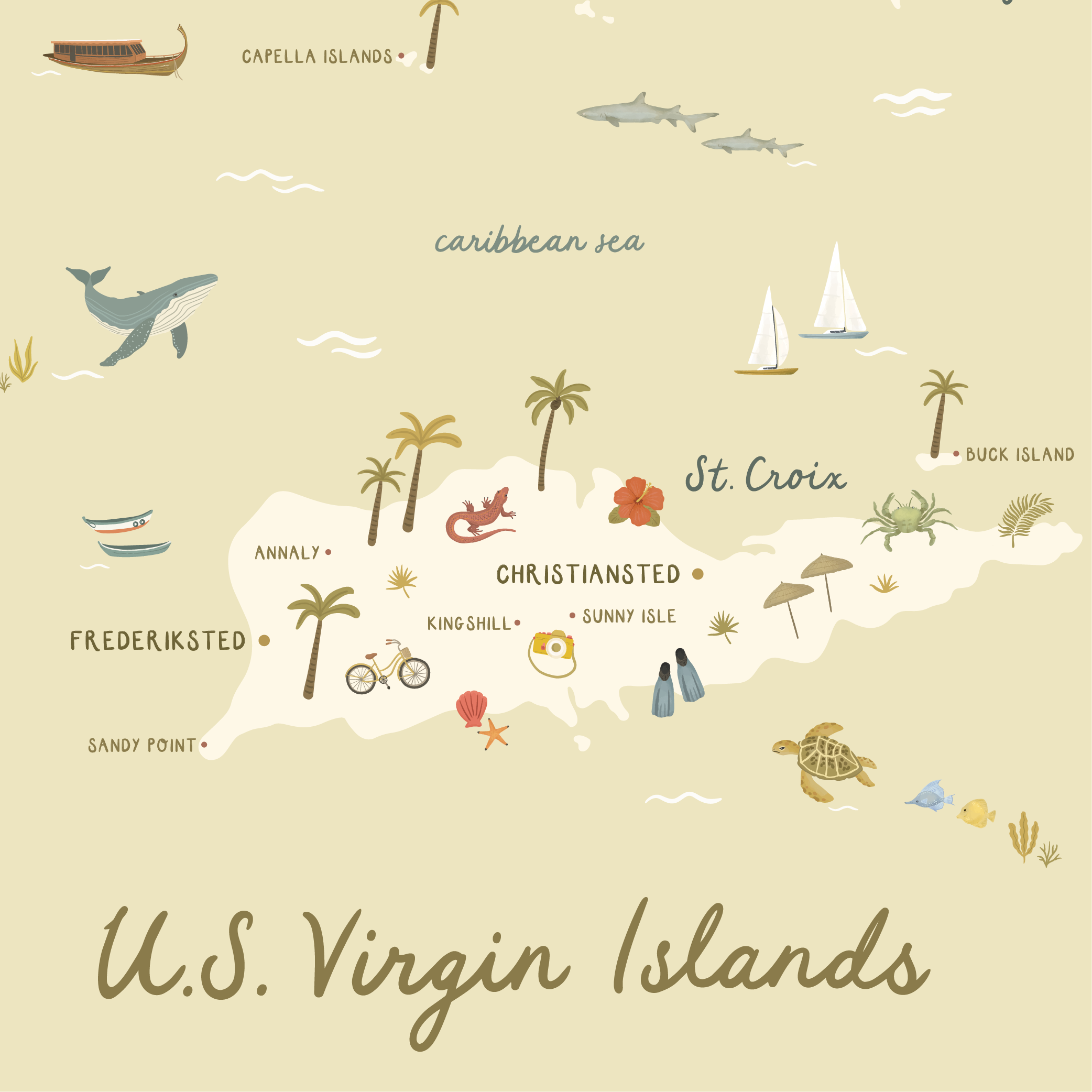 USVI-Mockup-12.png