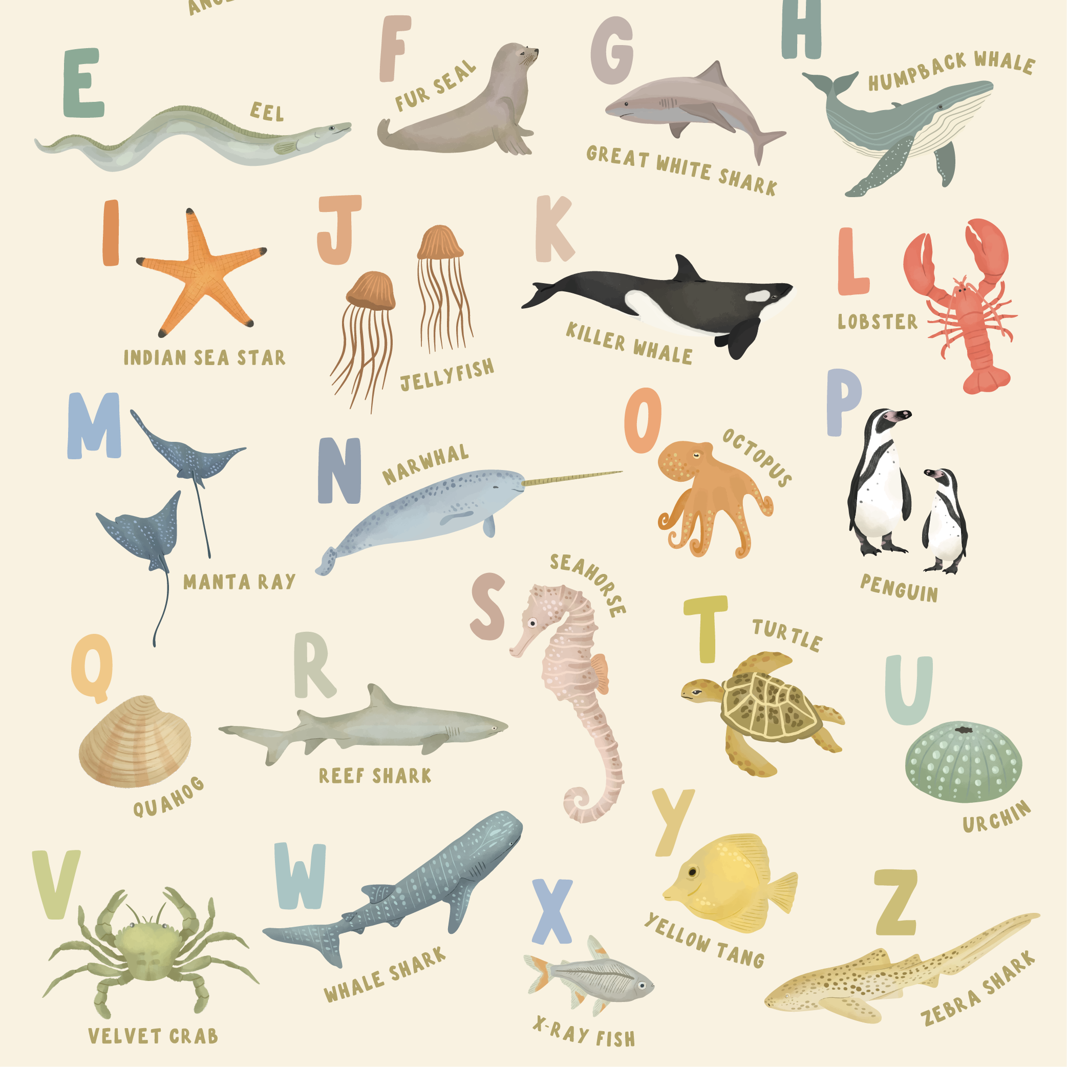 MyOceanAlphabet-06.png